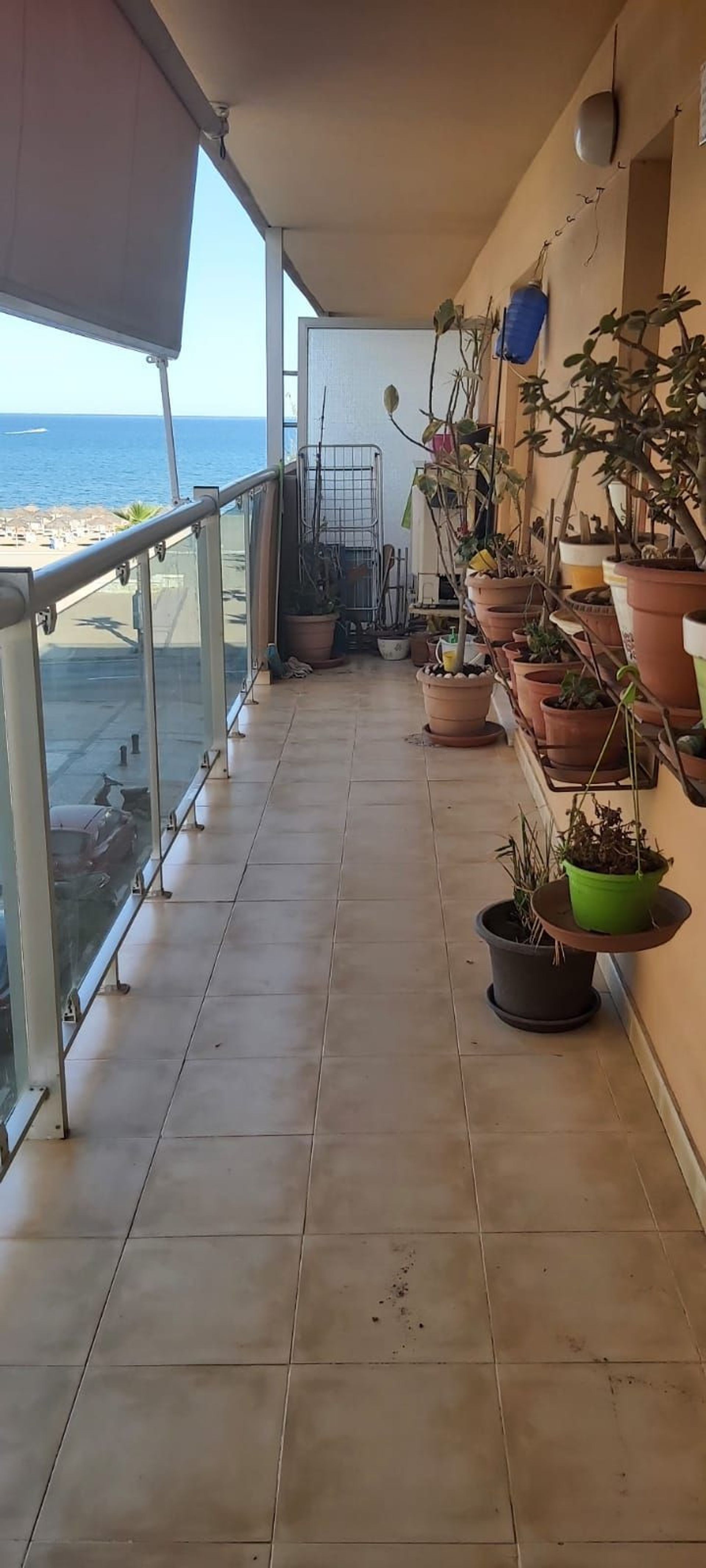 सम्मिलित में Fuengirola, Andalucía 11135747