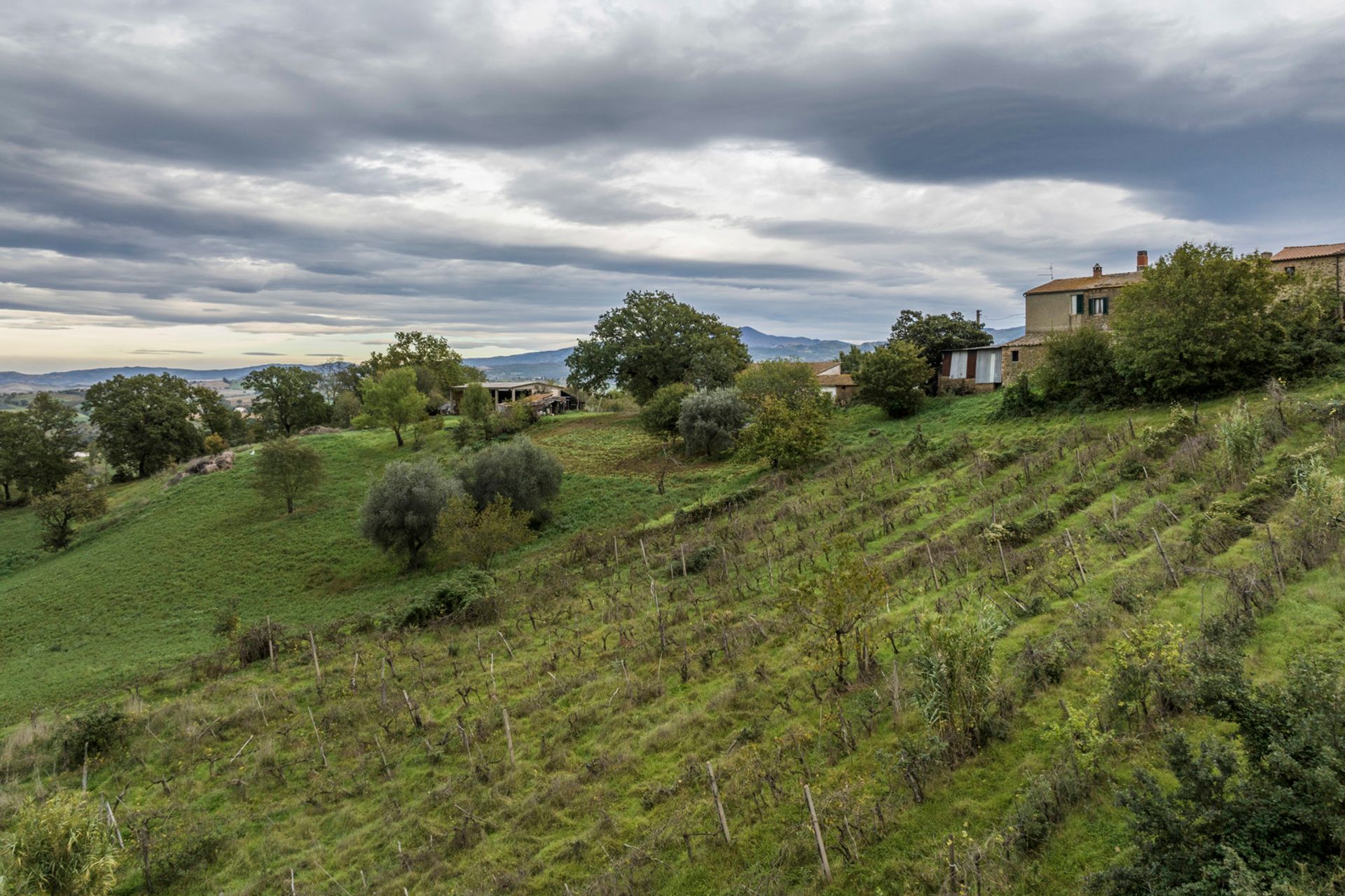 House in , Tuscany 11136498