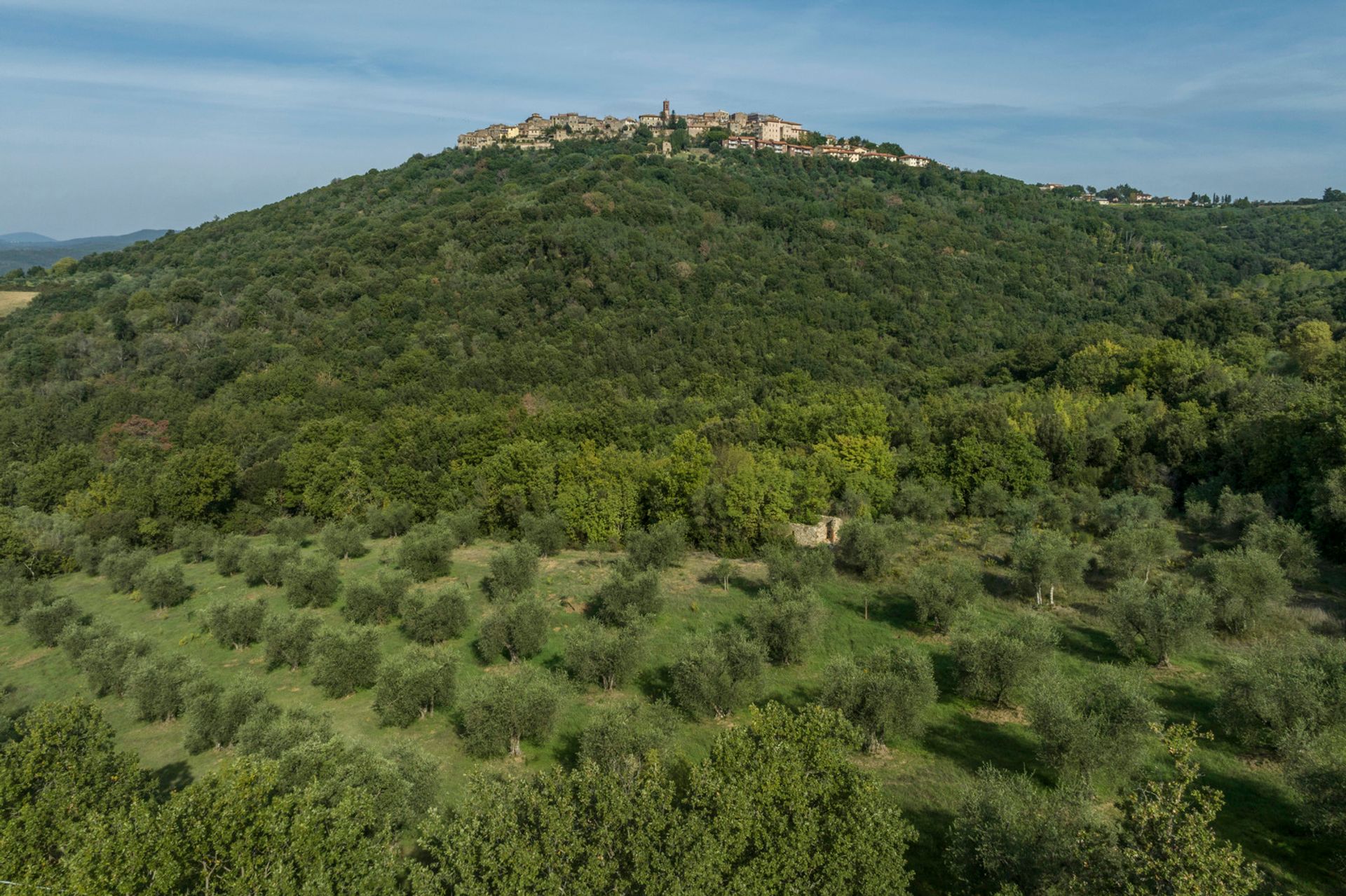 Συγκυριαρχία σε Campagnatico, Tuscany 11136506