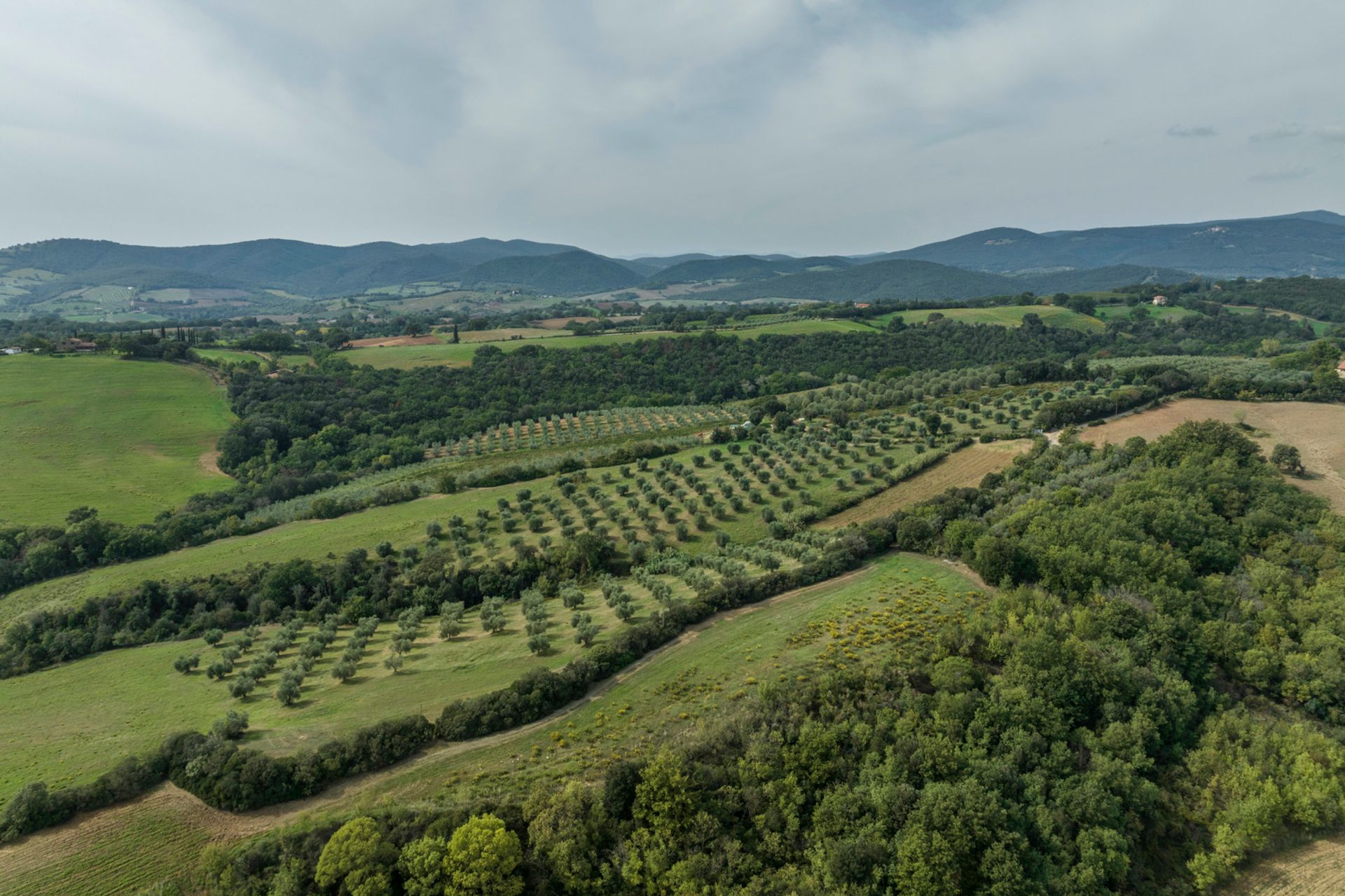 Συγκυριαρχία σε Campagnatico, Tuscany 11136506