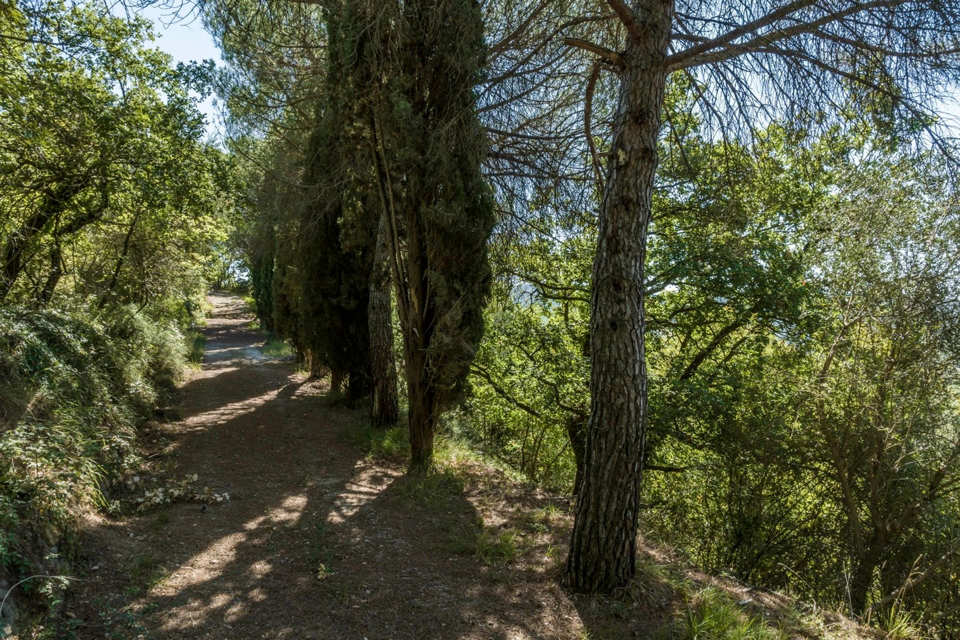 Hus i Montepulciano, Tuscany 11136627