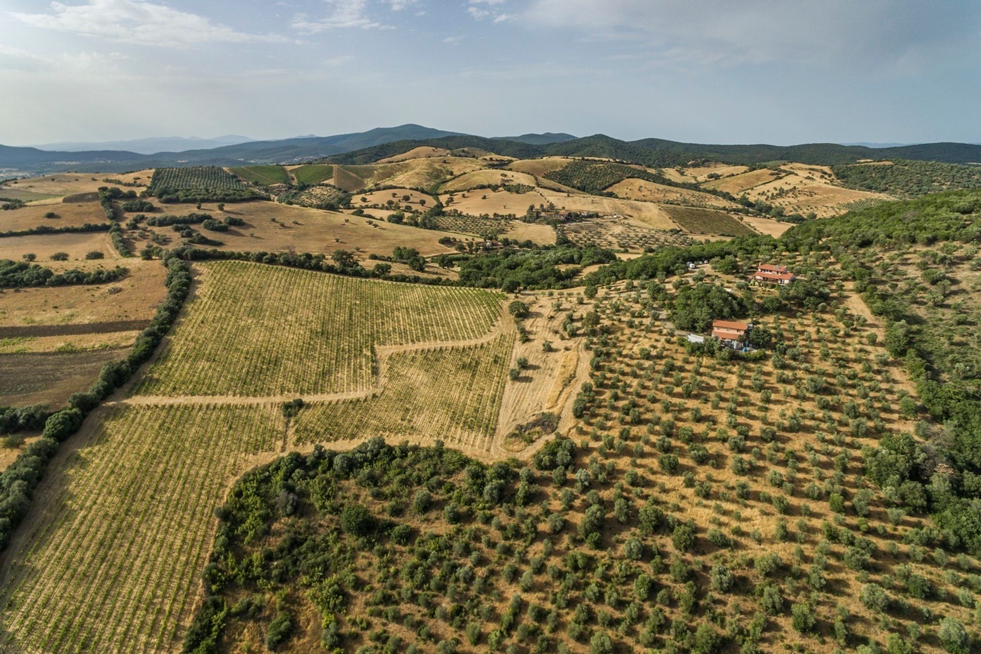 σπίτι σε Campagnatico, Tuscany 11136634