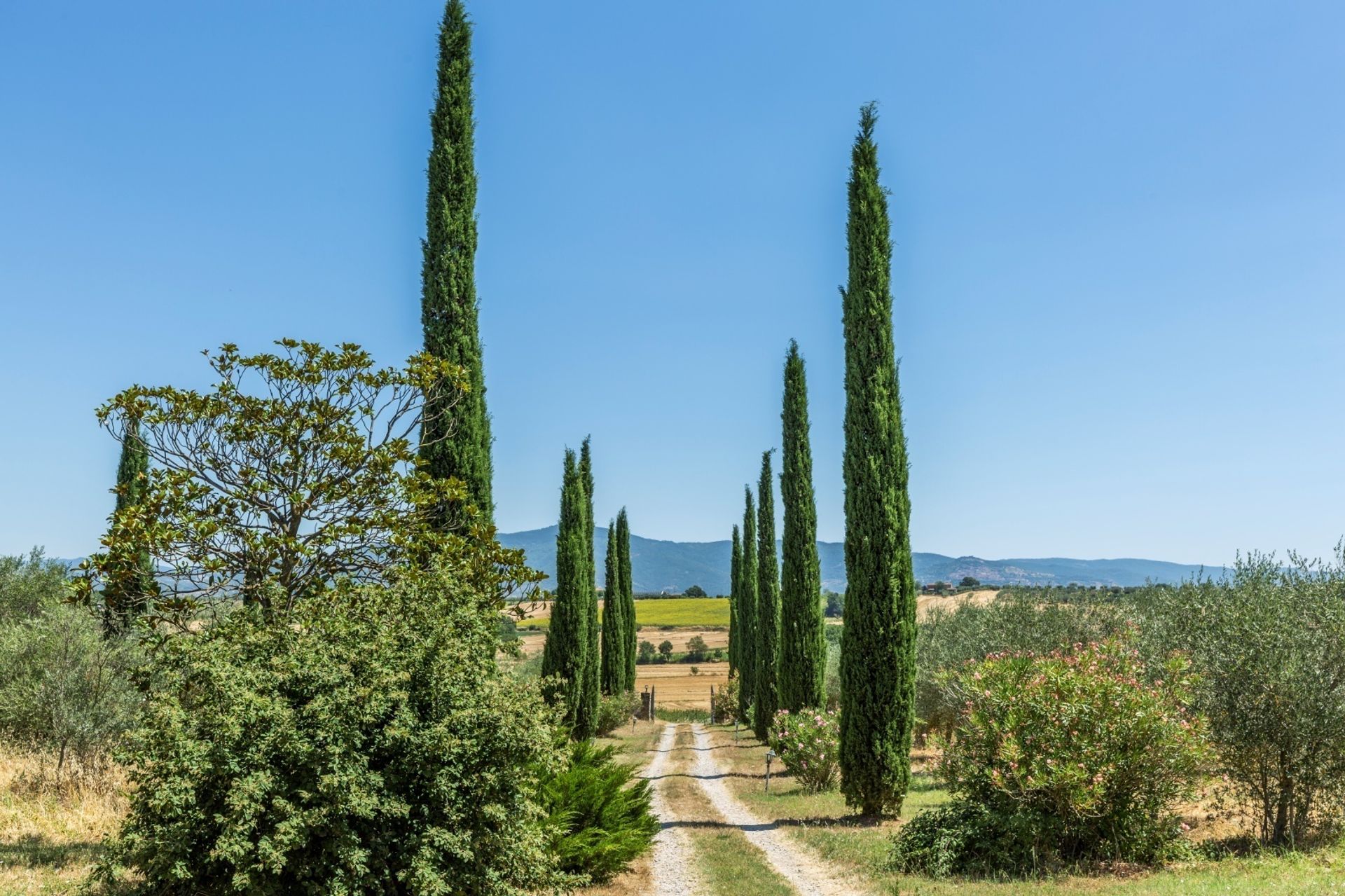 분양 아파트 에 Creti, Tuscany 11136637