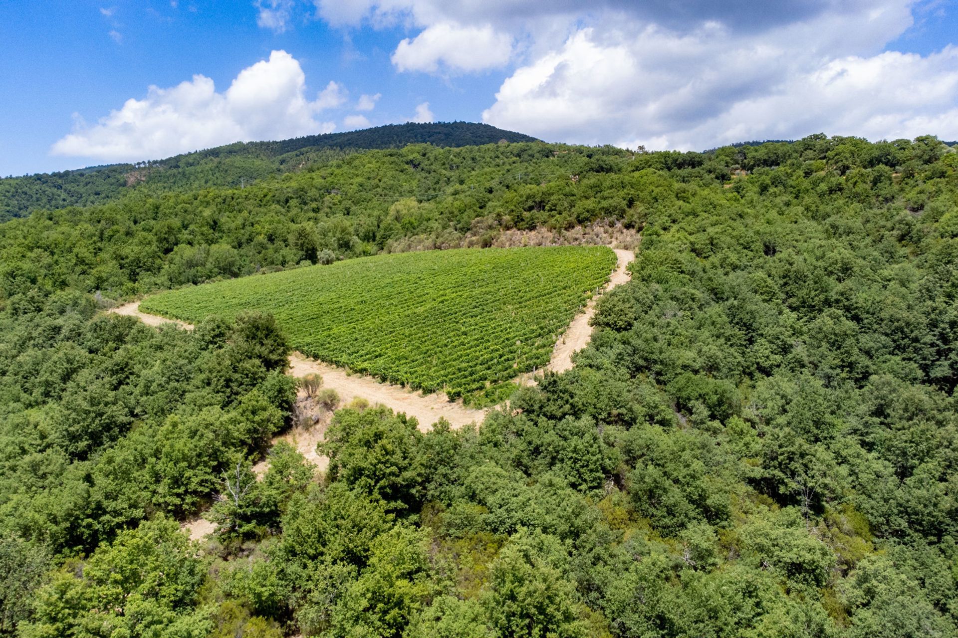 Osakehuoneisto sisään Cortona, Tuscany 11136660