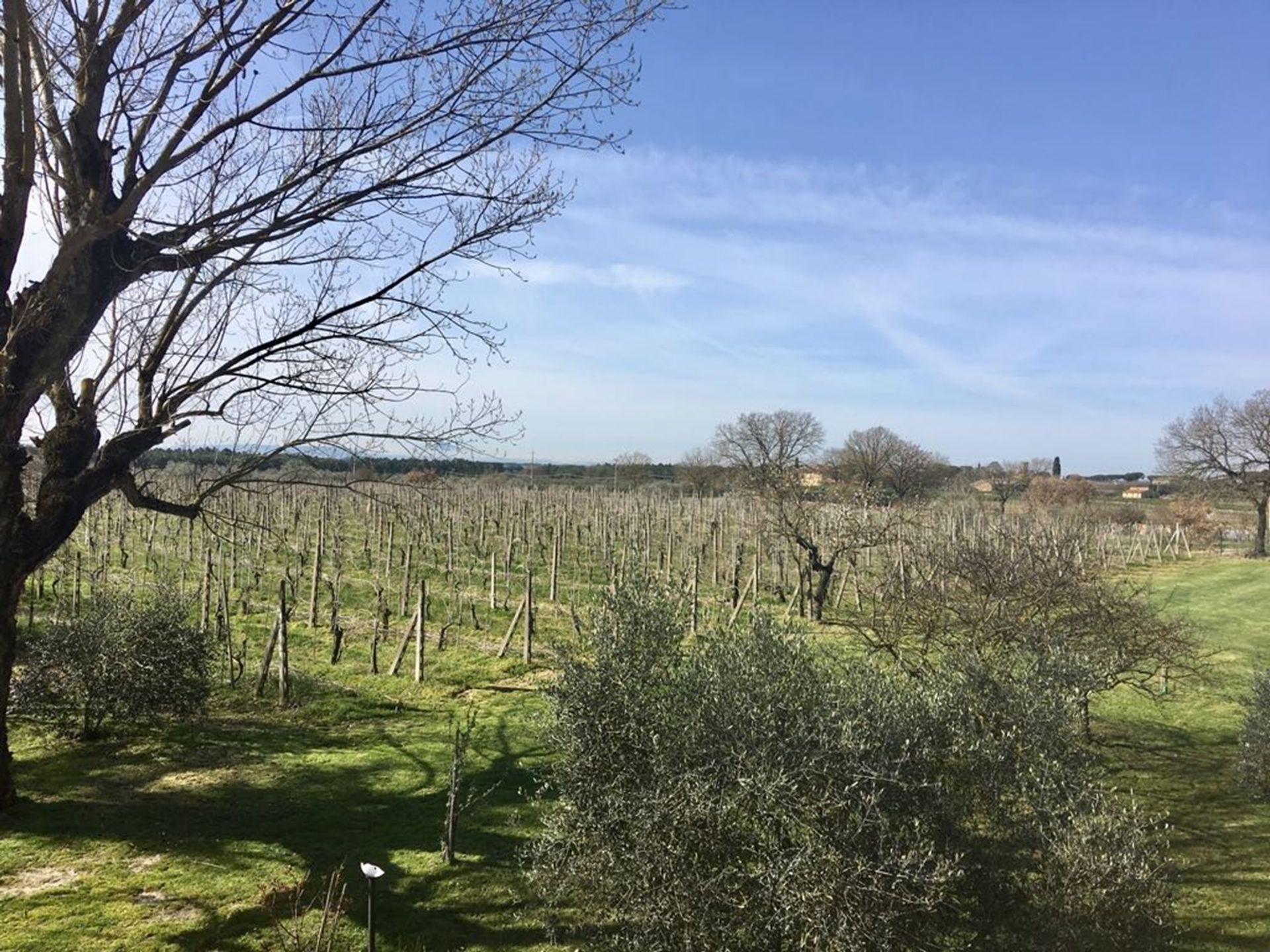 σπίτι σε Cortona, Tuscany 11136737