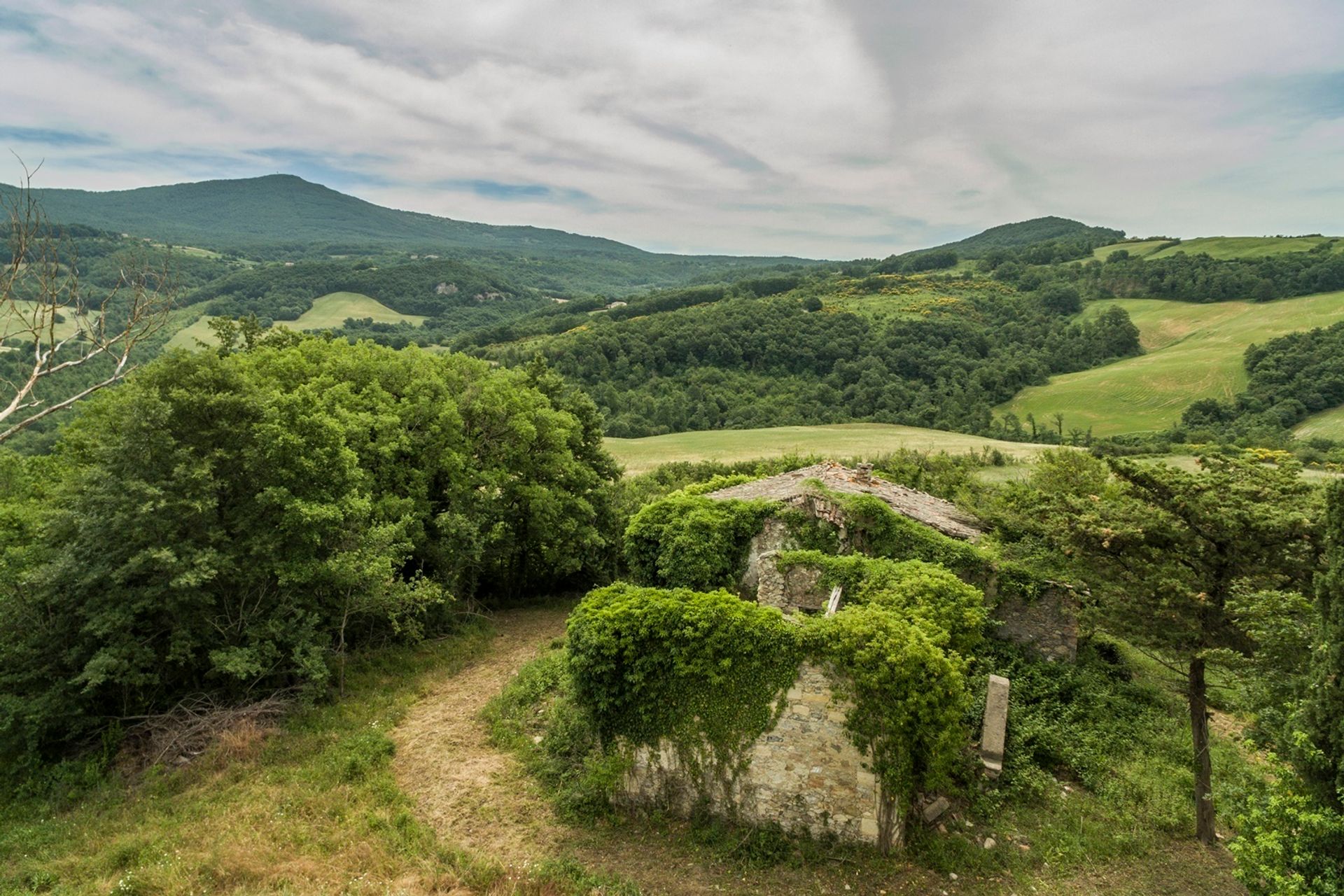 집 에 Radicofani, Tuscany 11136744