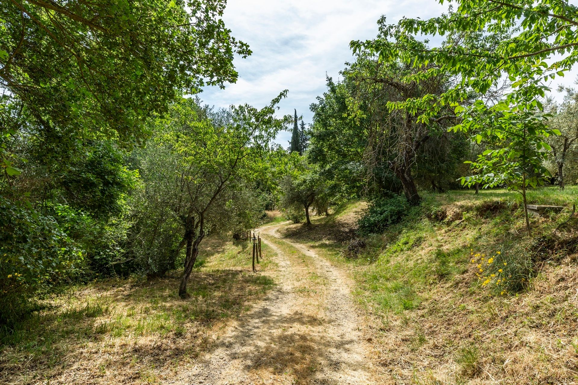 House in Sarteano, Tuscany 11136774