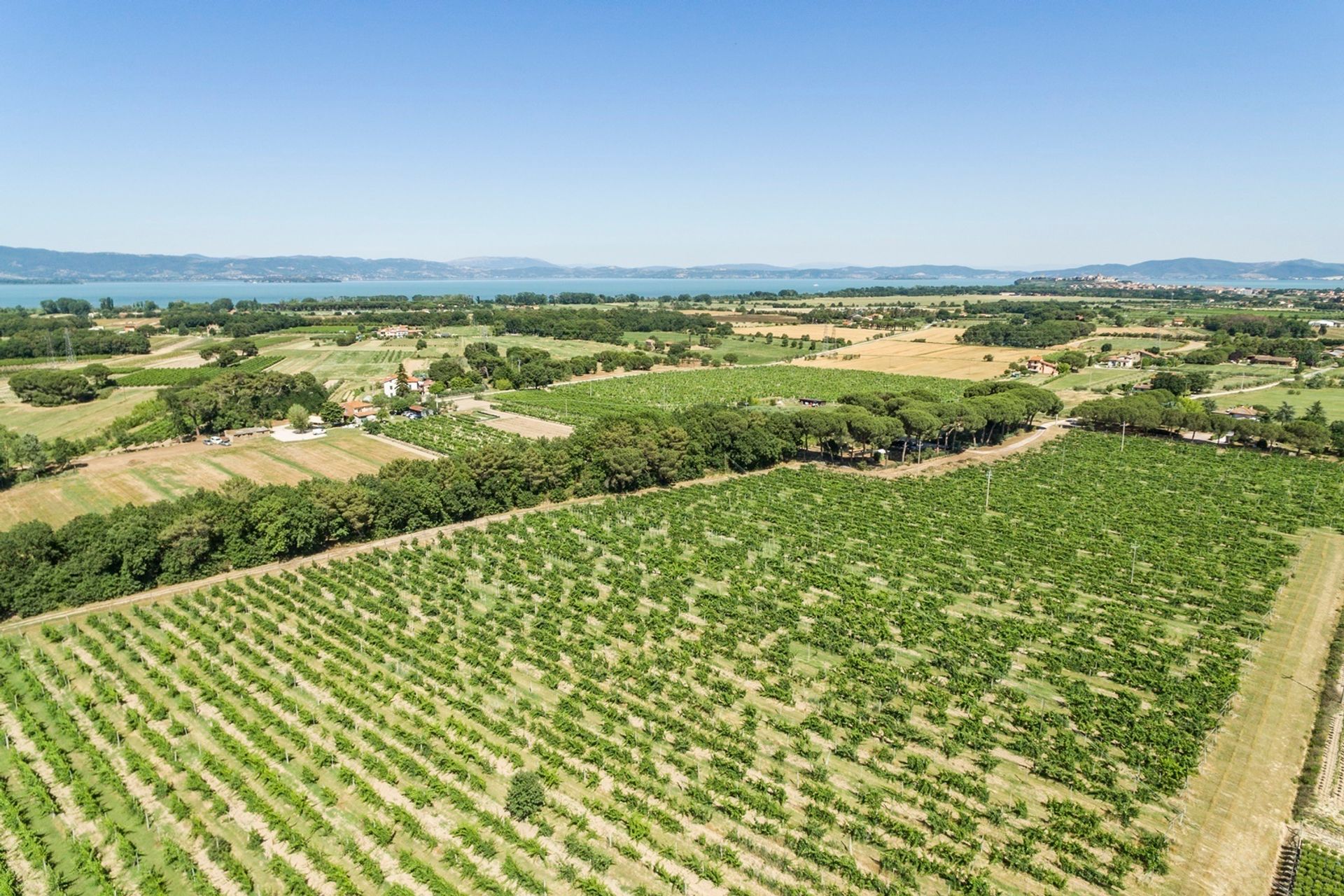 Talo sisään Castiglione del Lago, Umbria 11136832