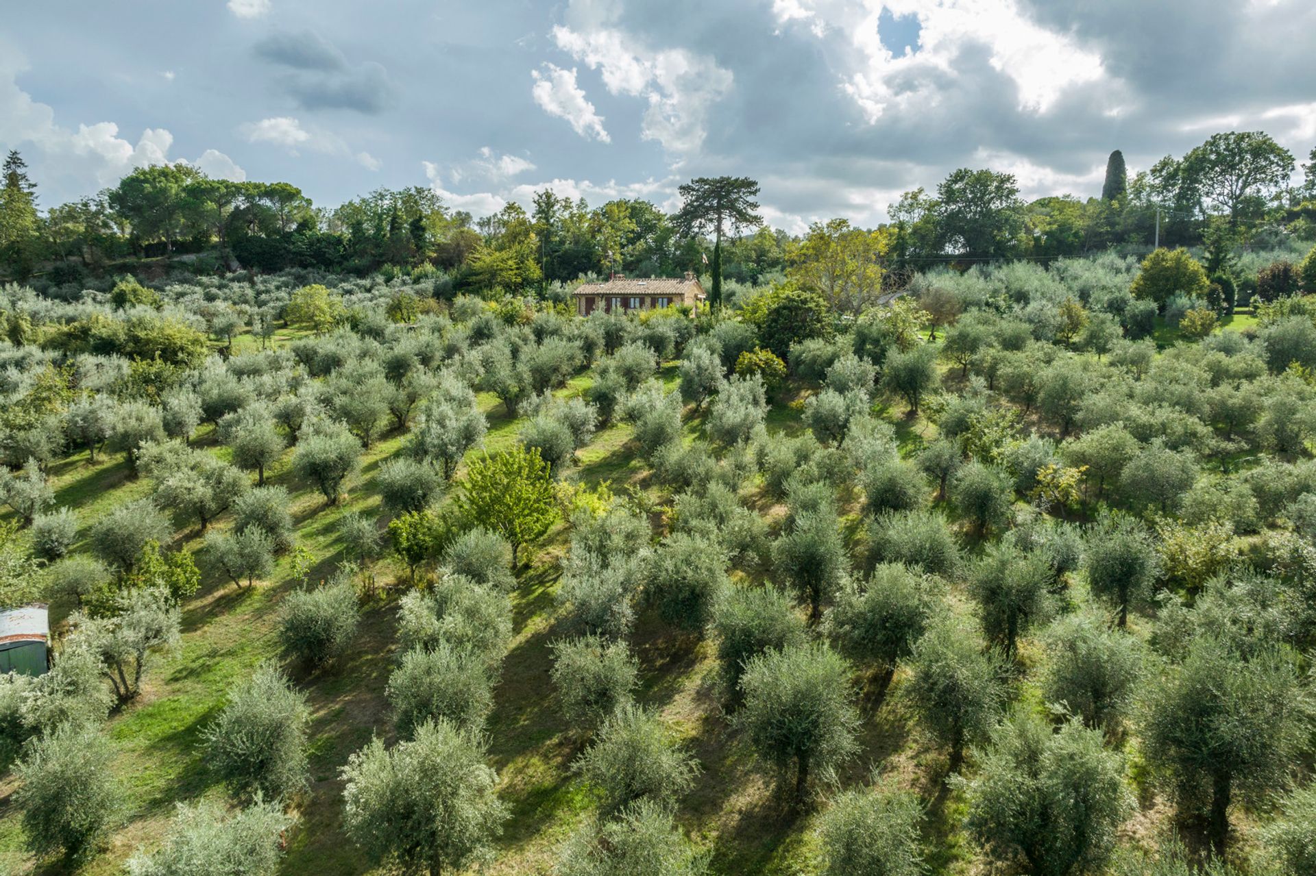 मकान में Montepulciano, Tuscany 11136885