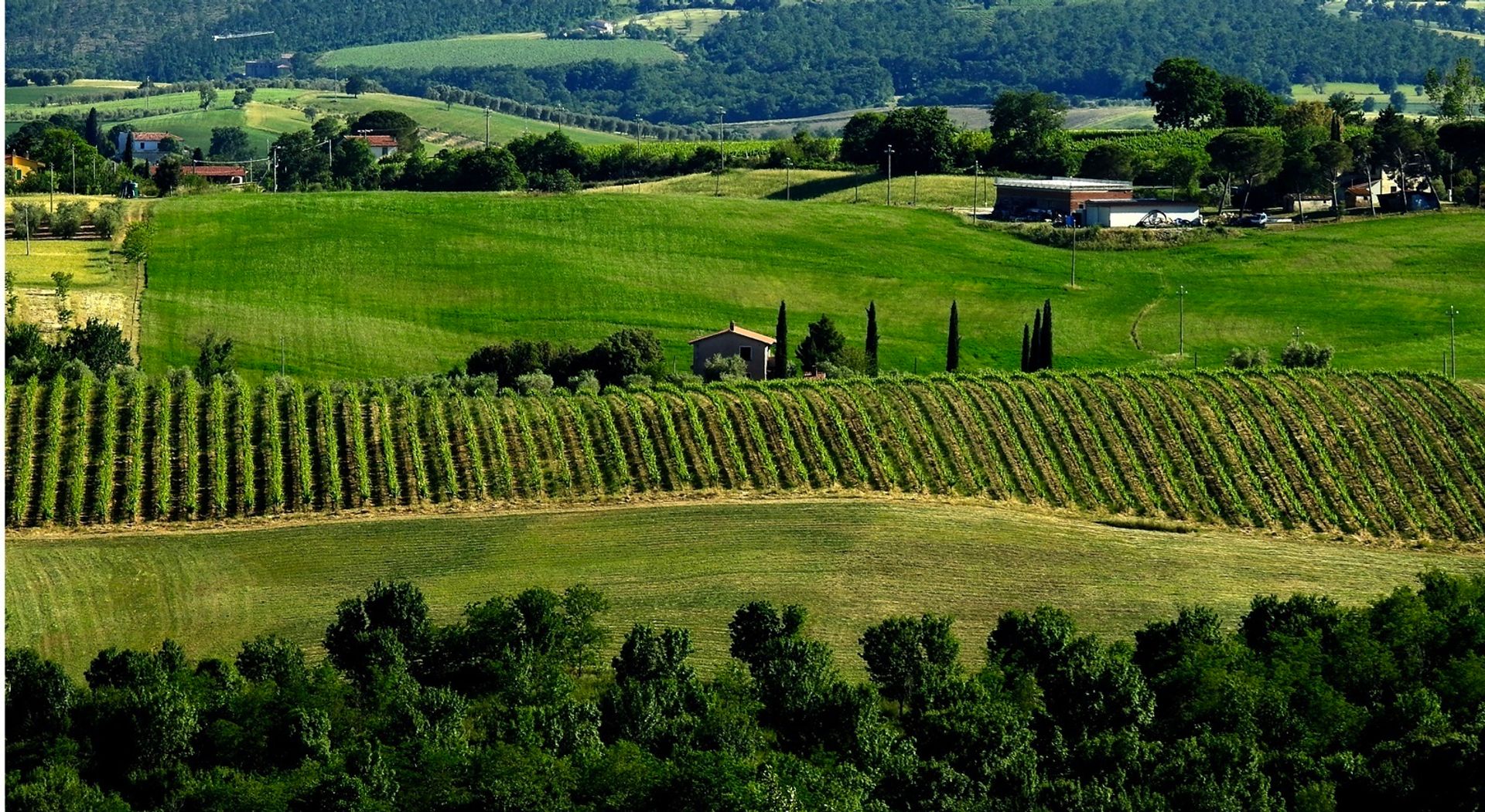 Kondominium dalam Scansano, Tuscany 11137015