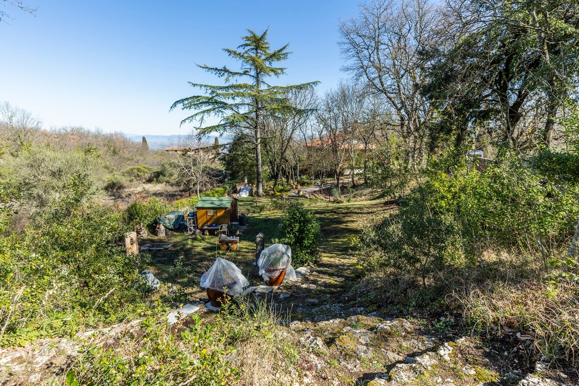 Condominium in Montefollonico, Tuscany 11137031