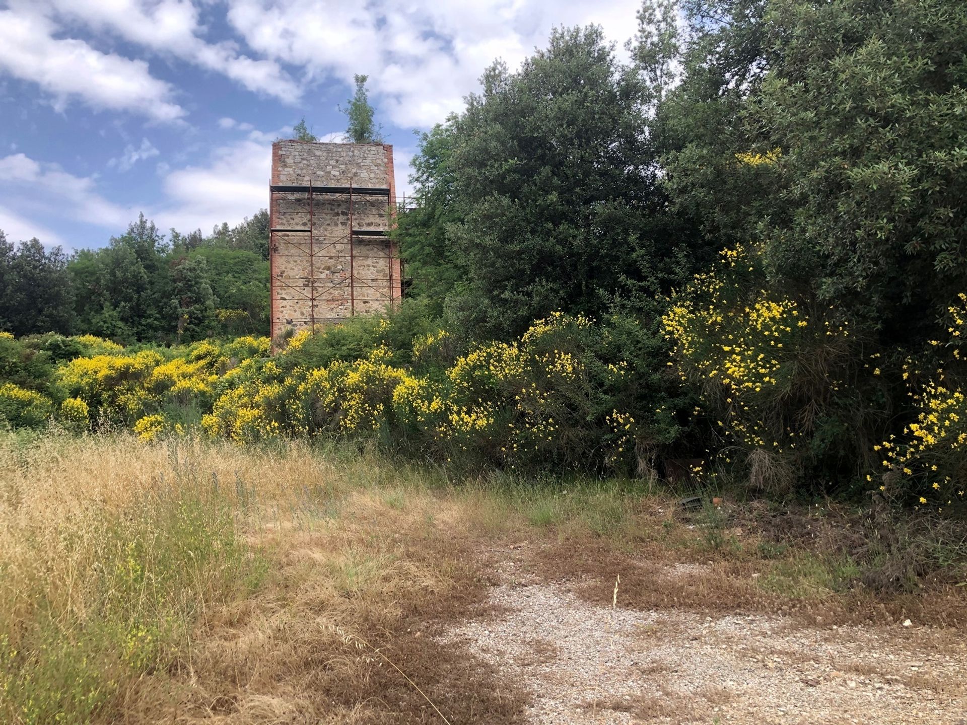 Casa nel Murlo, Toscana 11137075