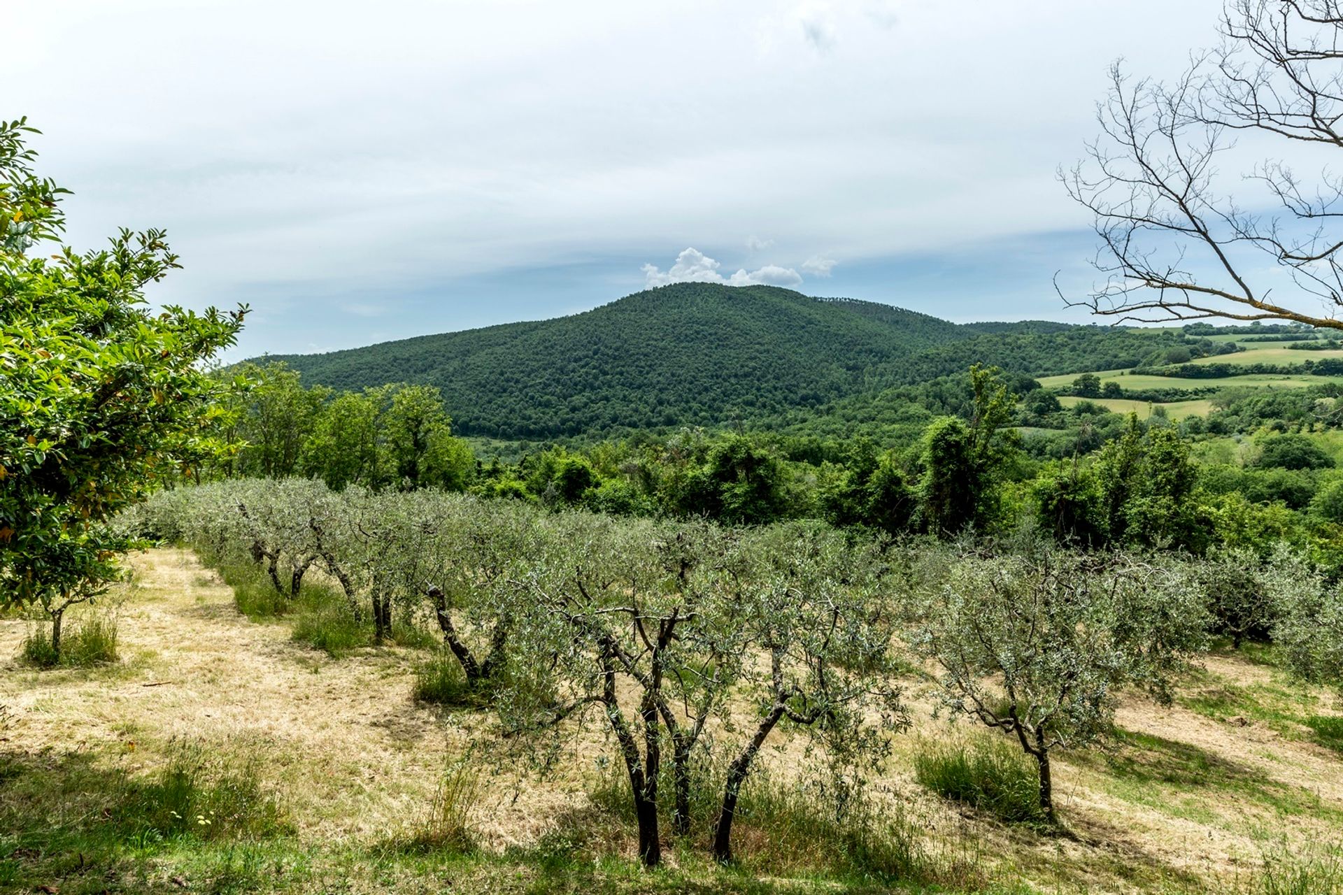 Rumah di Montepulciano, Tuscany 11137129