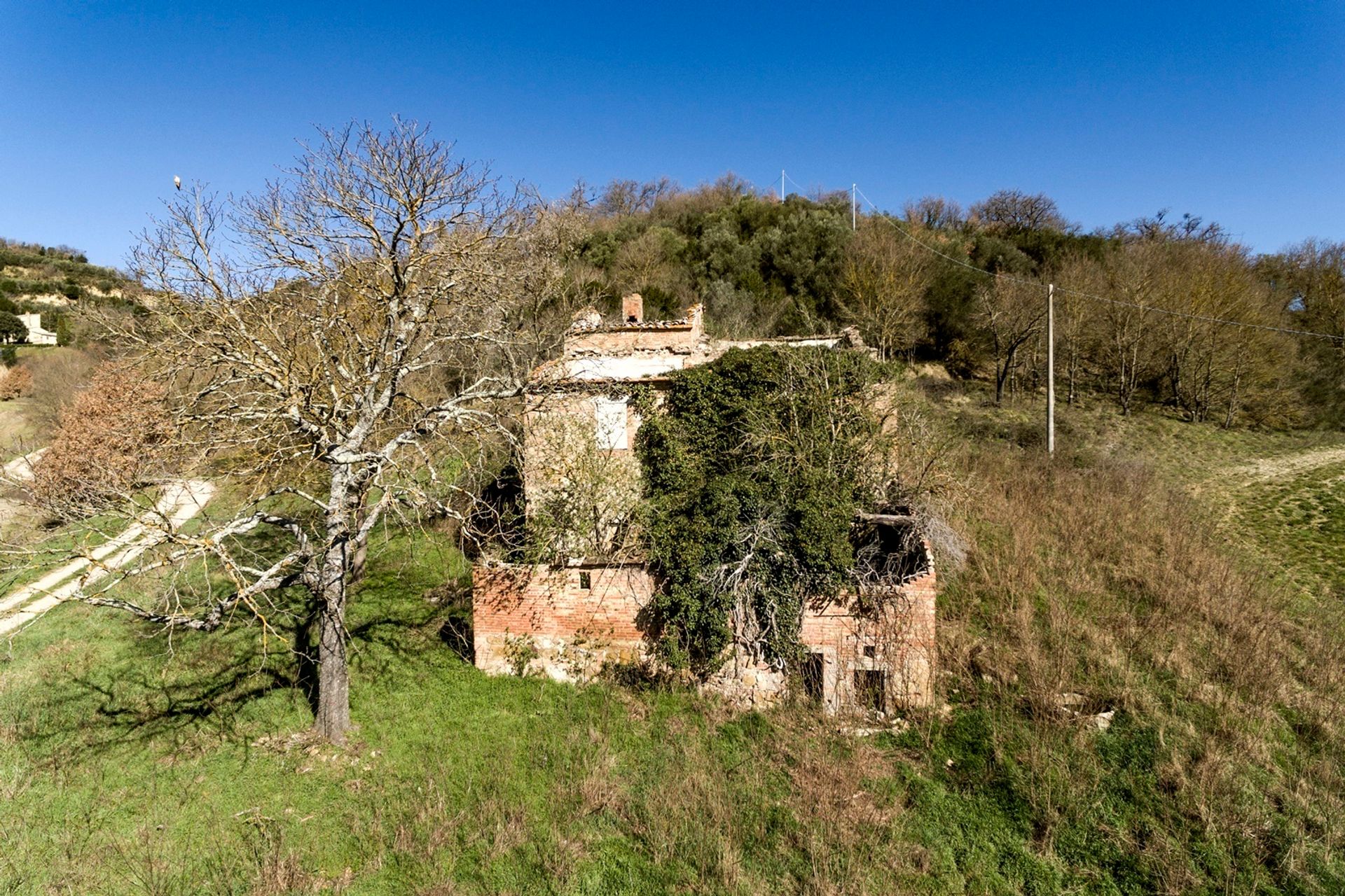 casa en Montepulciano, Tuscany 11137186