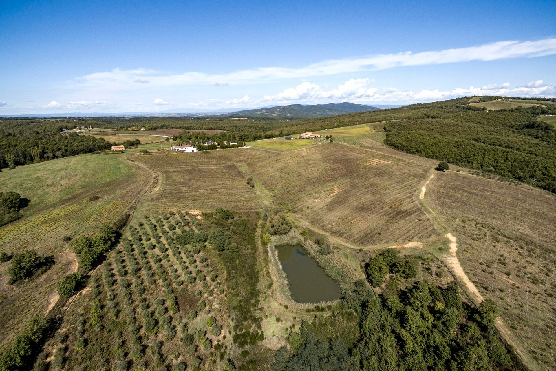 公寓 在 Monteleone d'Orvieto, Umbria 11137296