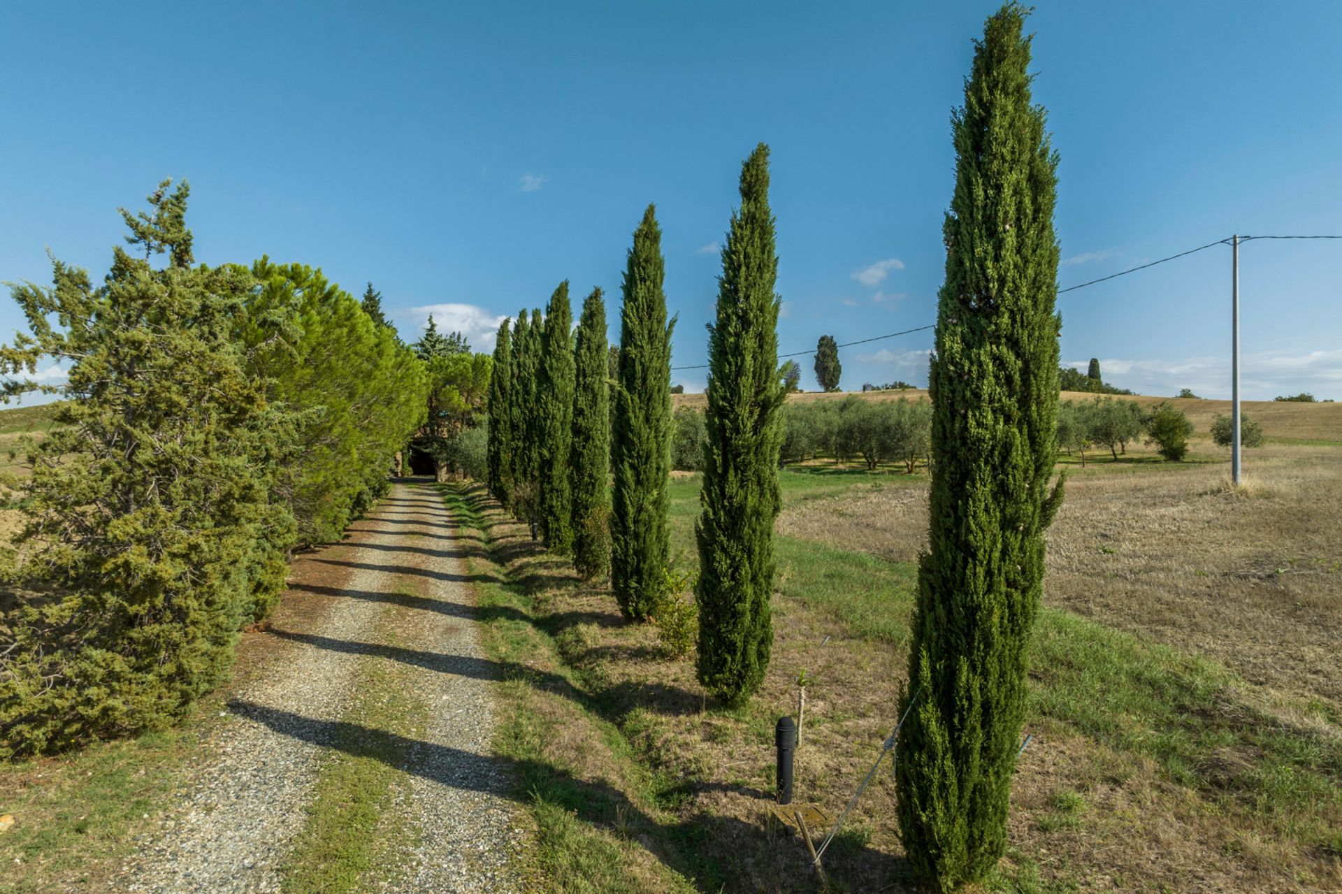 House in , Tuscany 11137300