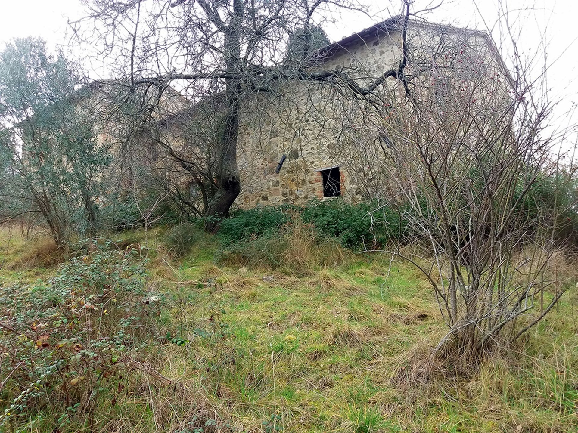 House in Montenero d'Orcia, Tuscany 11137447