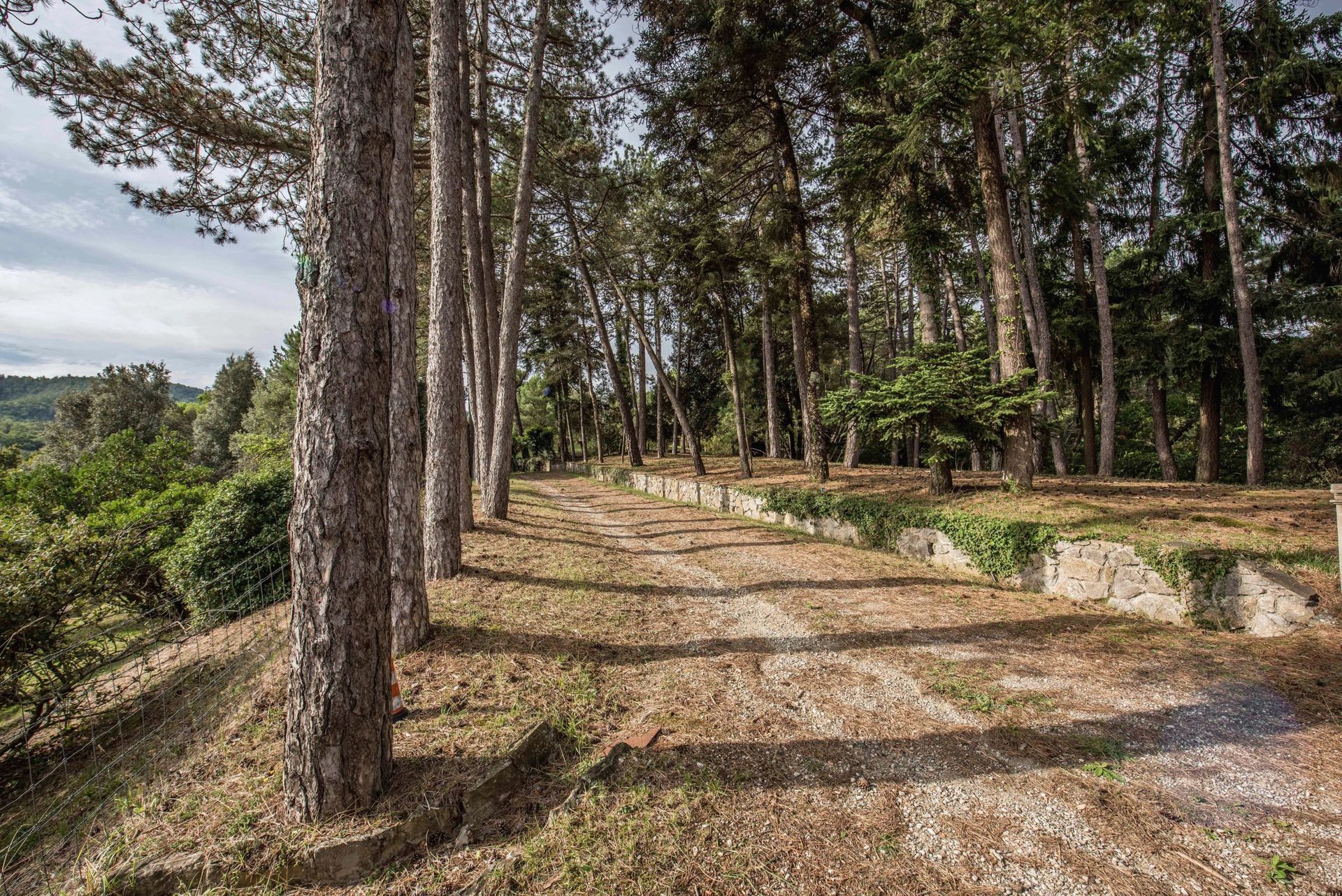 بيت في Arezzo, Tuscany 11137563