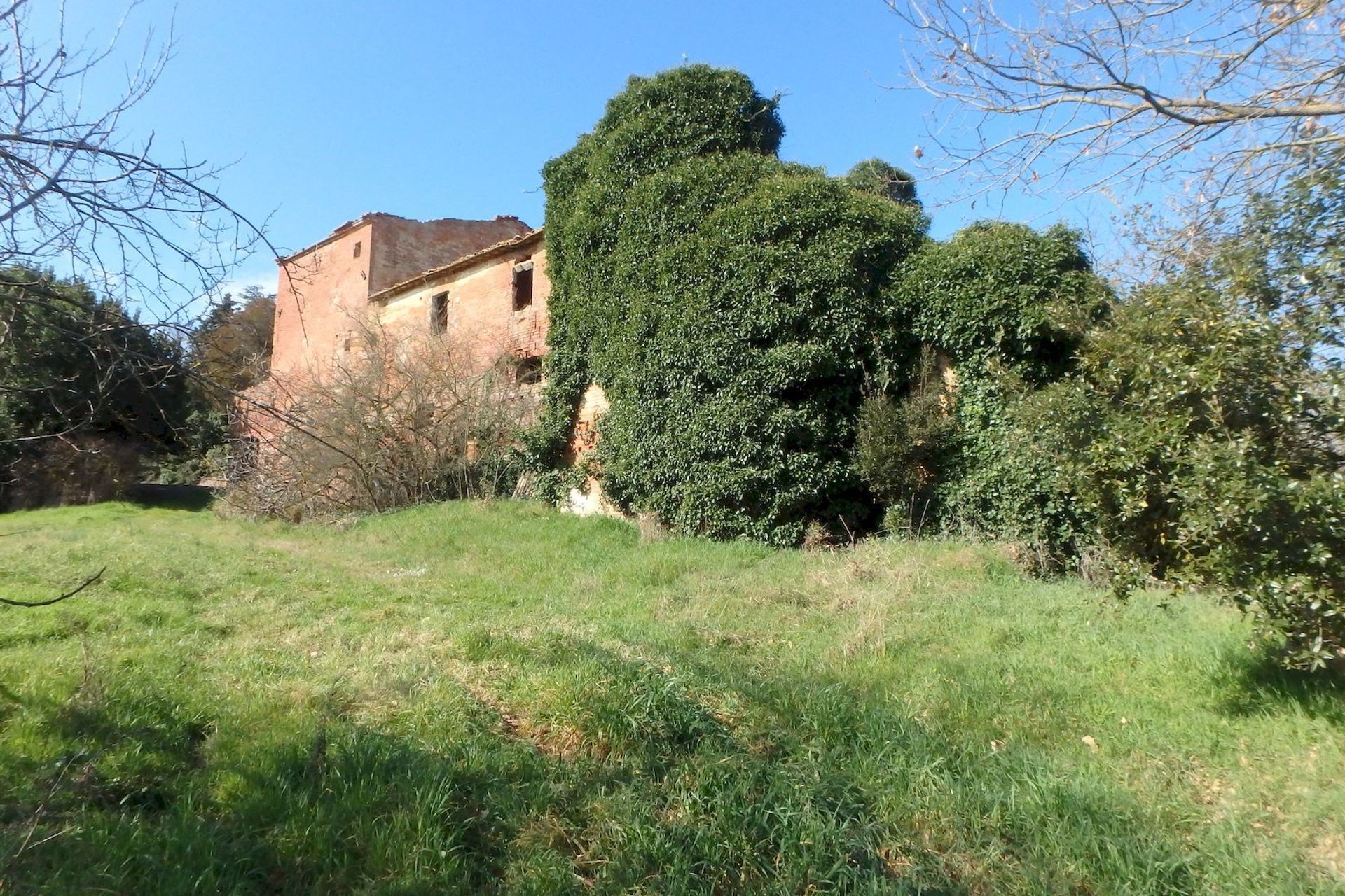 मकान में Acquaviva, Tuscany 11137613