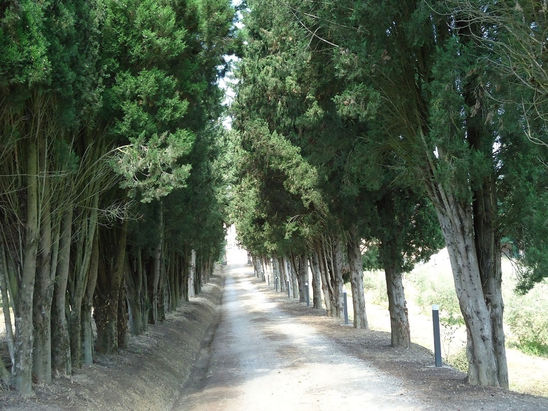 σπίτι σε Siena, Tuscany 11137765