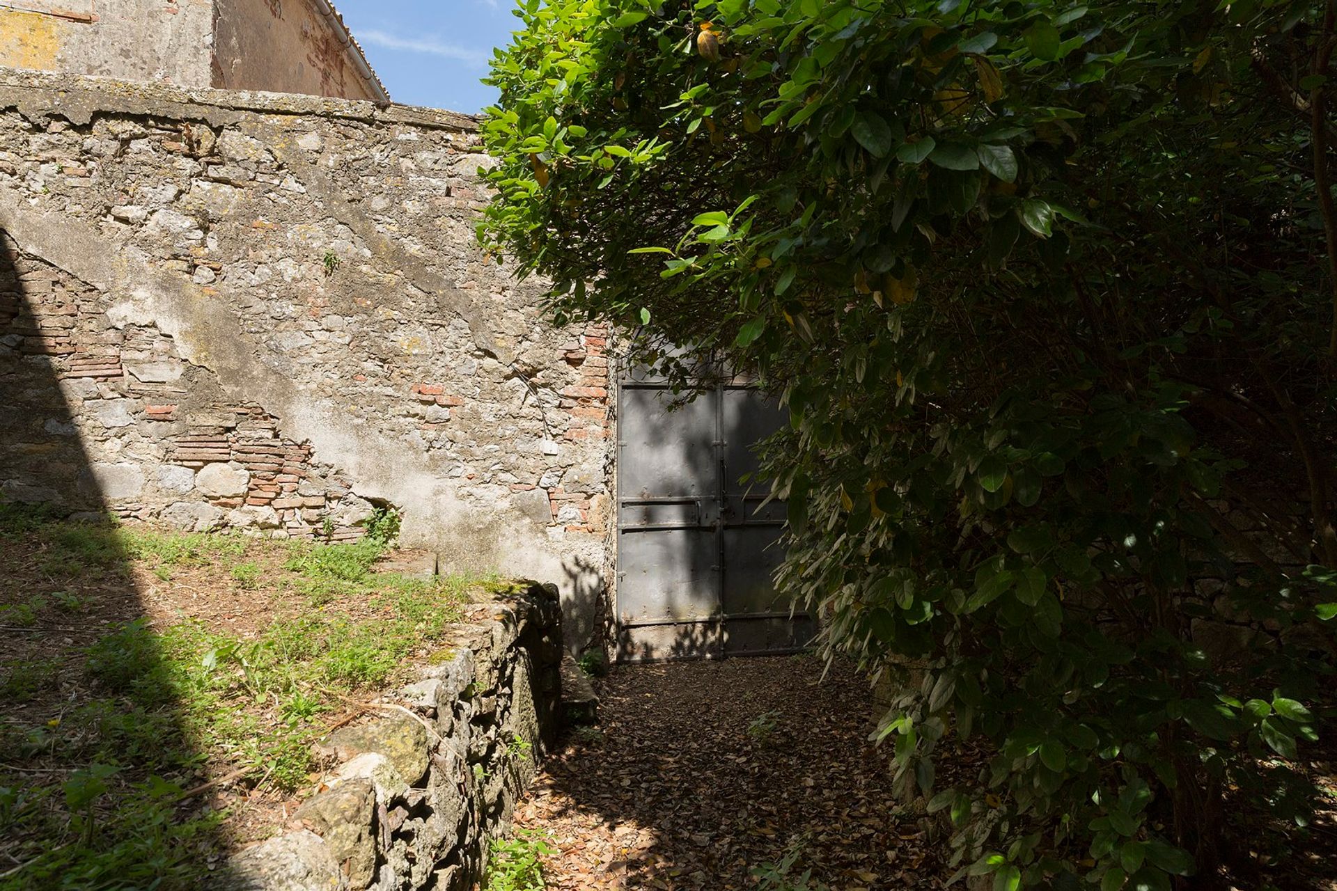 Συγκυριαρχία σε Montefollonico, Tuscany 11138038