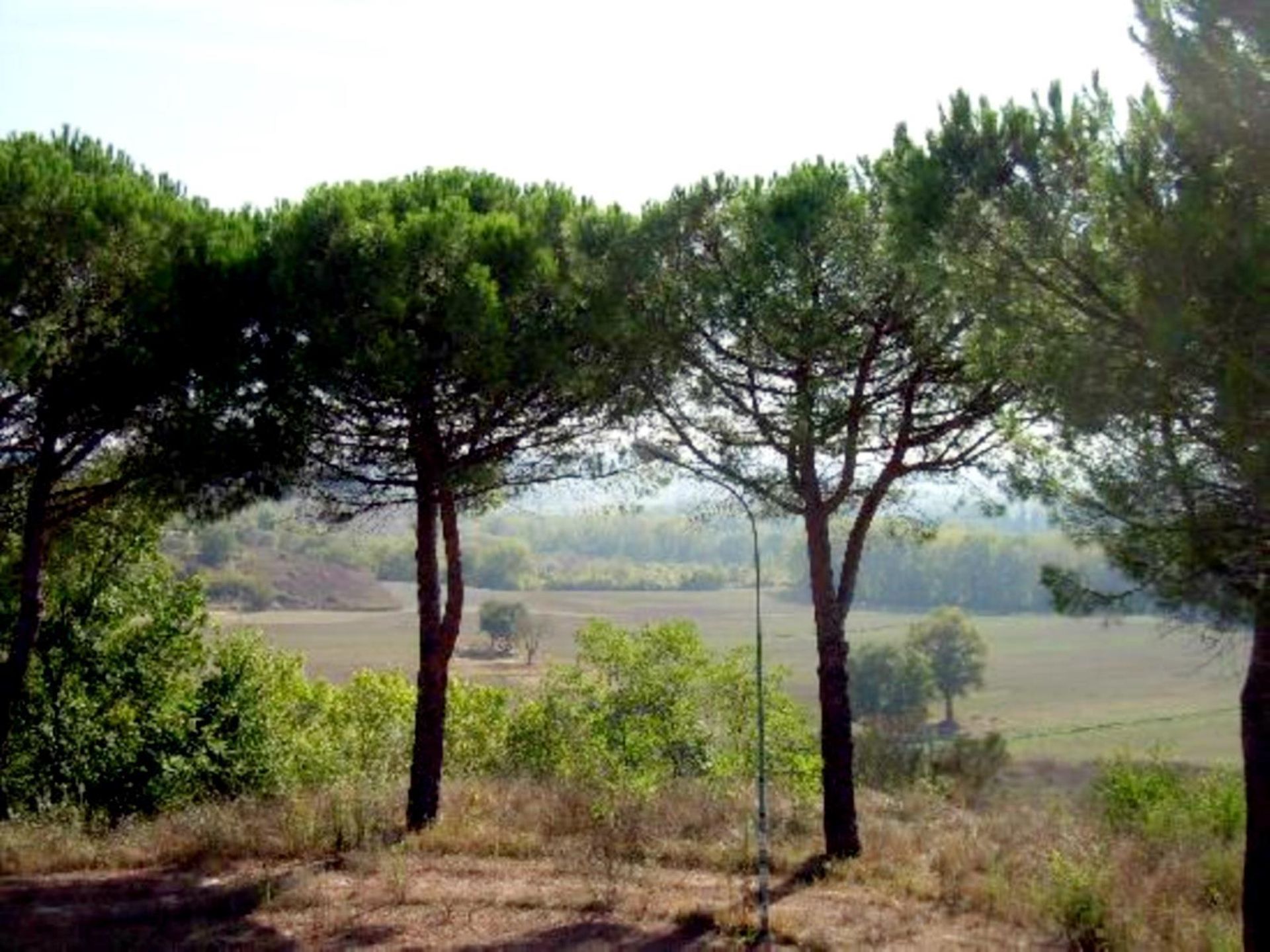 жилой дом в Chiusi, Tuscany 11138118