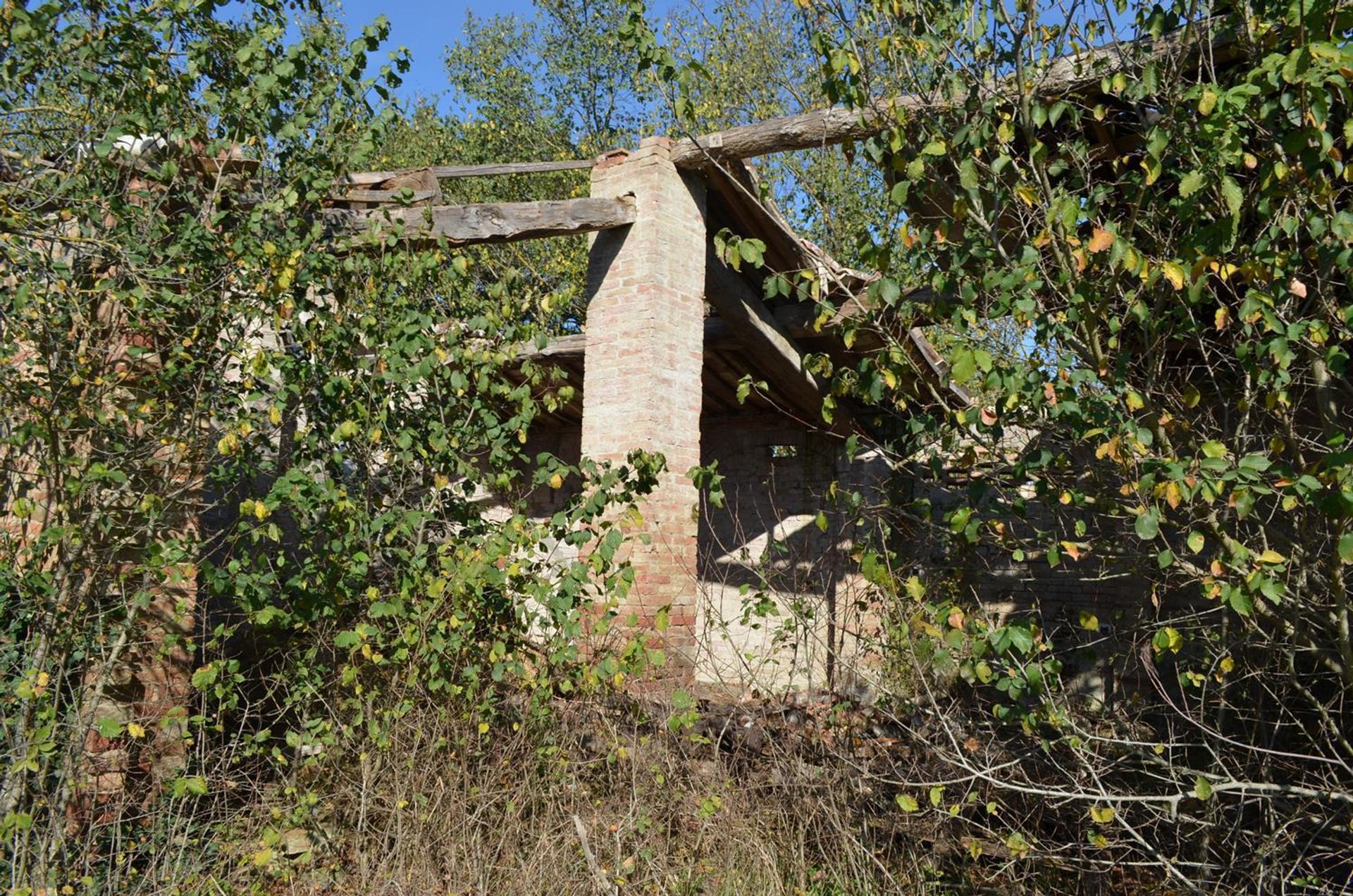 Rumah di San Giovanni d'Asso, Tuscany 11138245