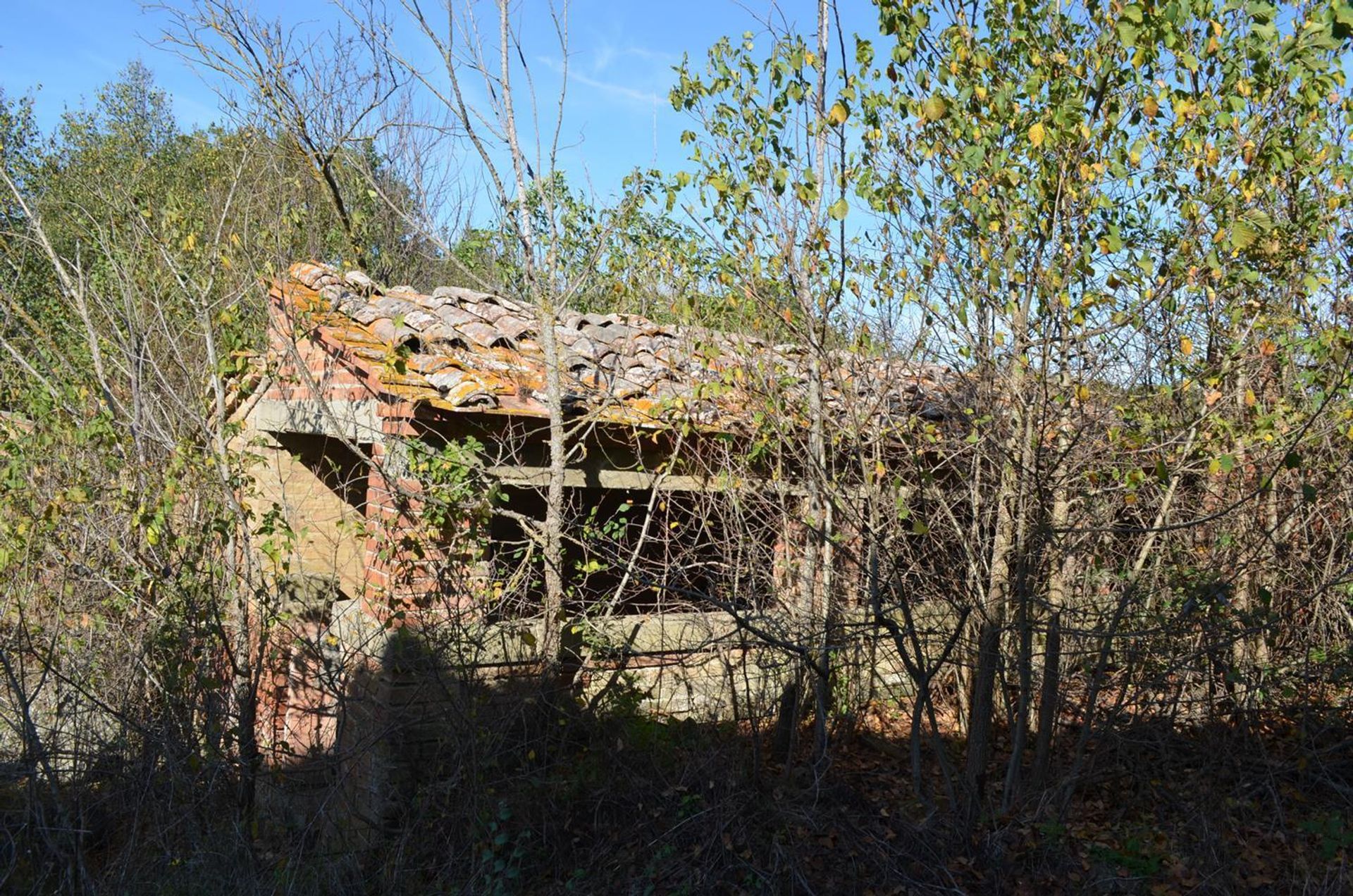 Rumah di San Giovanni d'Asso, Tuscany 11138245