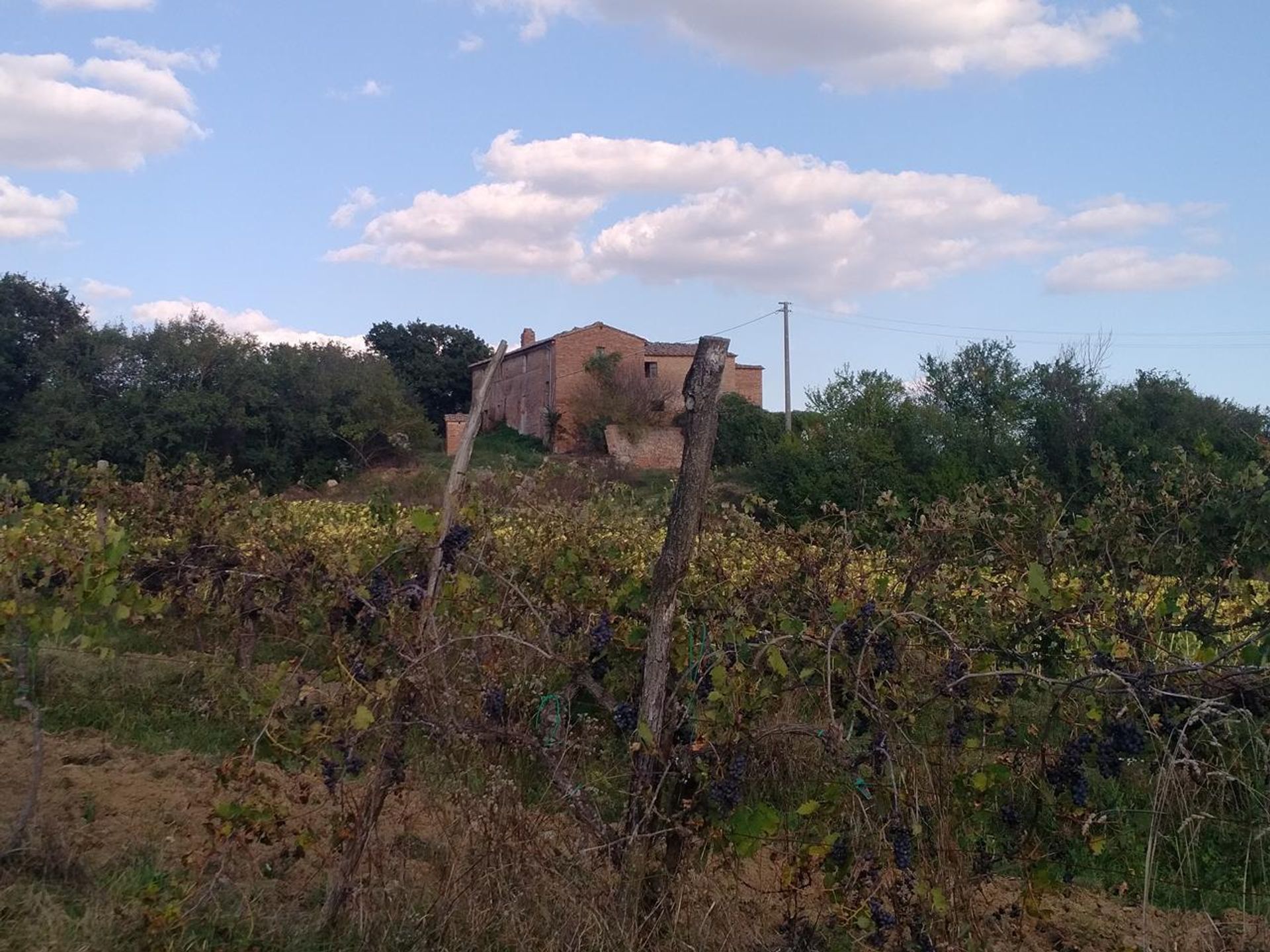 Rumah di San Giovanni d'Asso, Tuscany 11138245