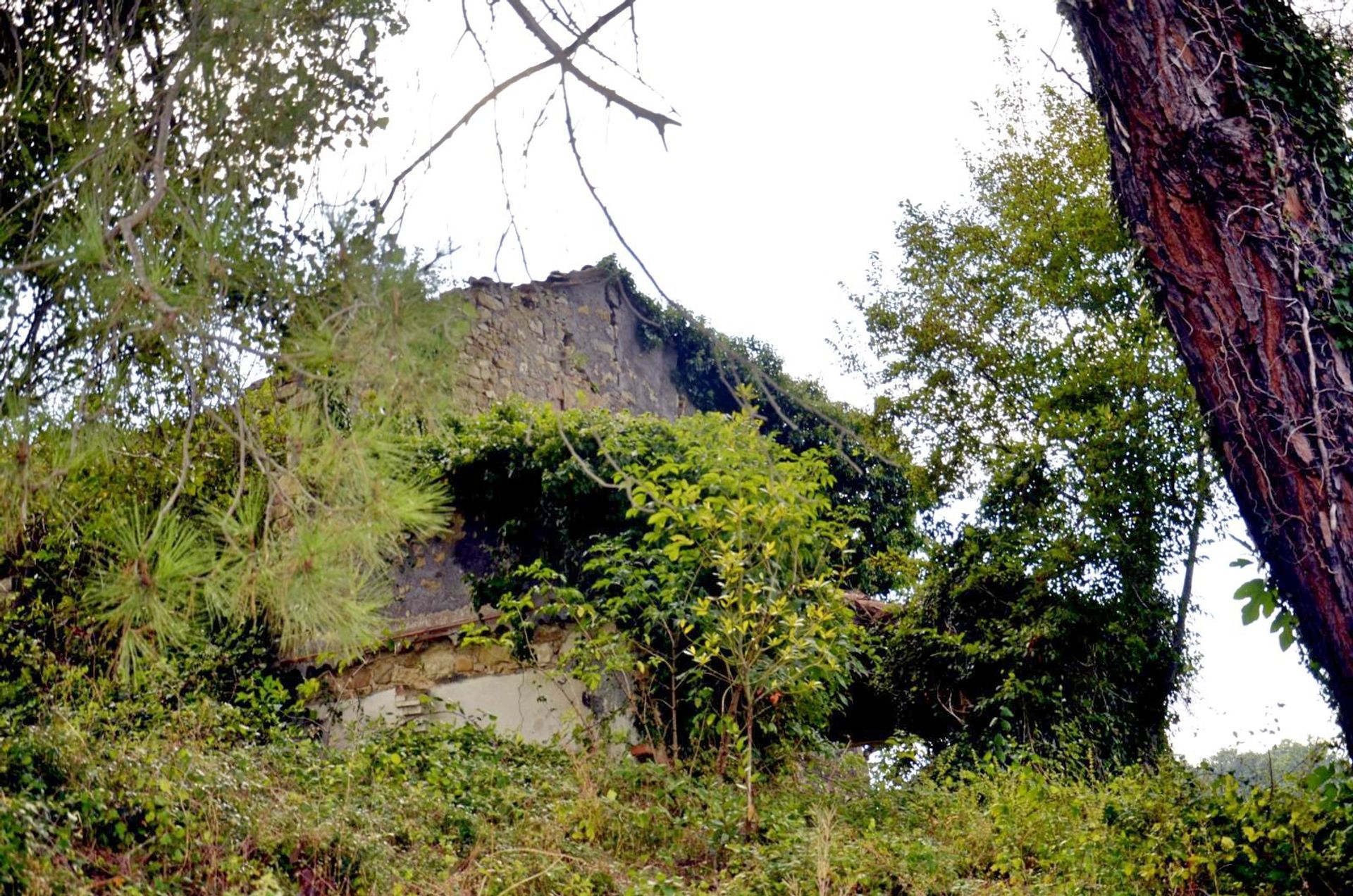 rumah dalam San Casciano dei Bagni, Toscana 11138268