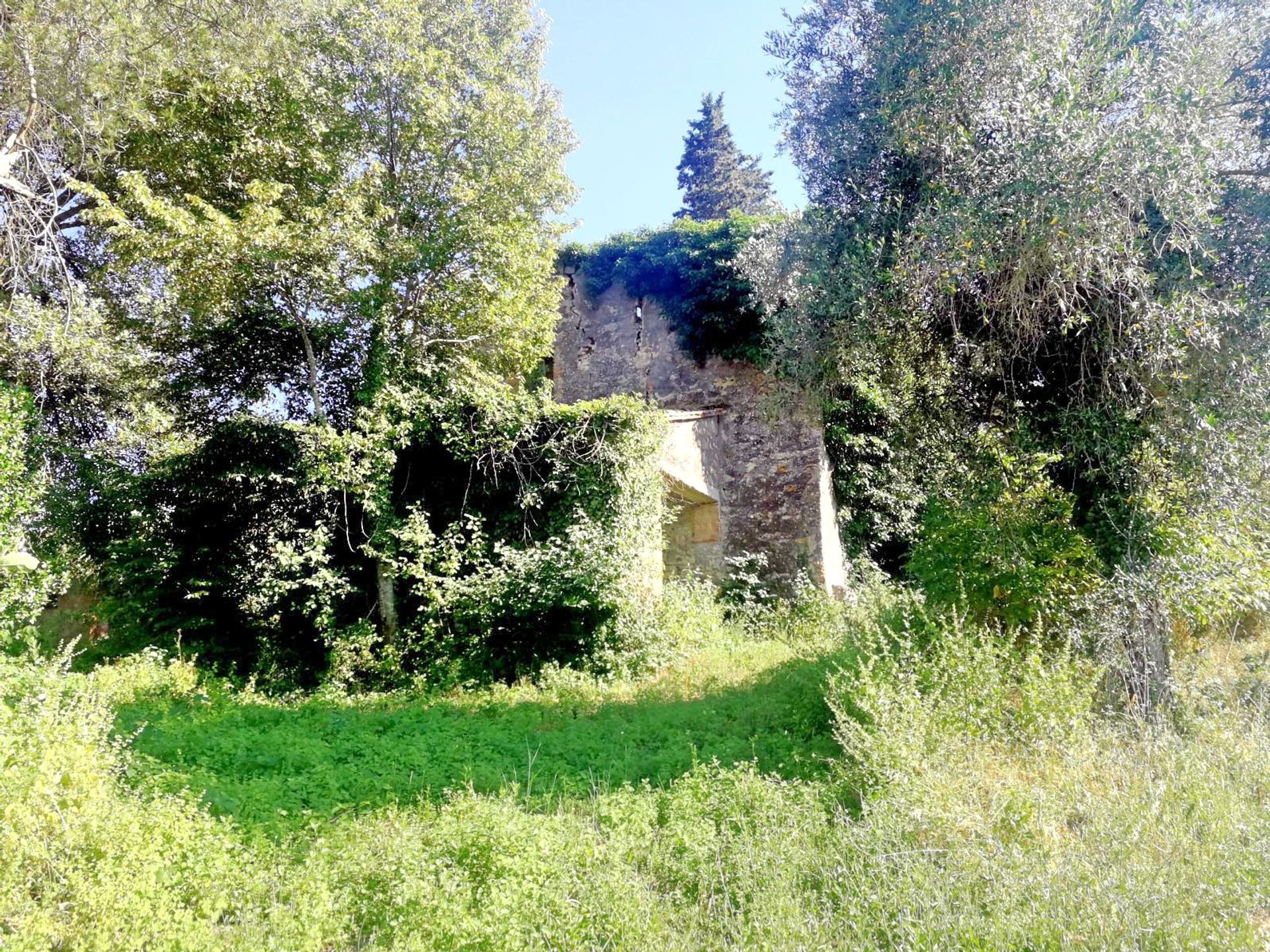 بيت في San Casciano dei Bagni, Toscana 11138268