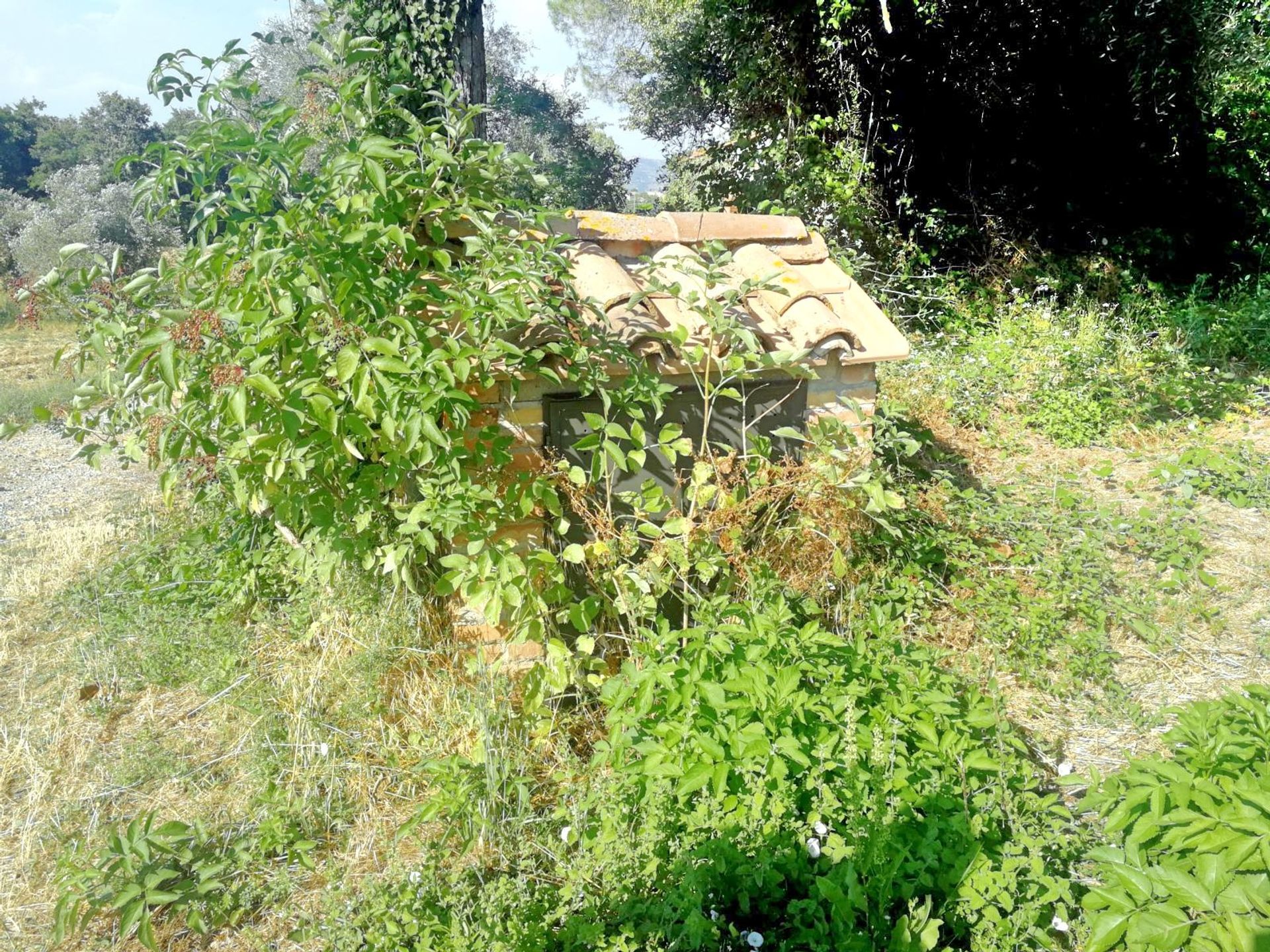 rumah dalam San Casciano dei Bagni, Toscana 11138268