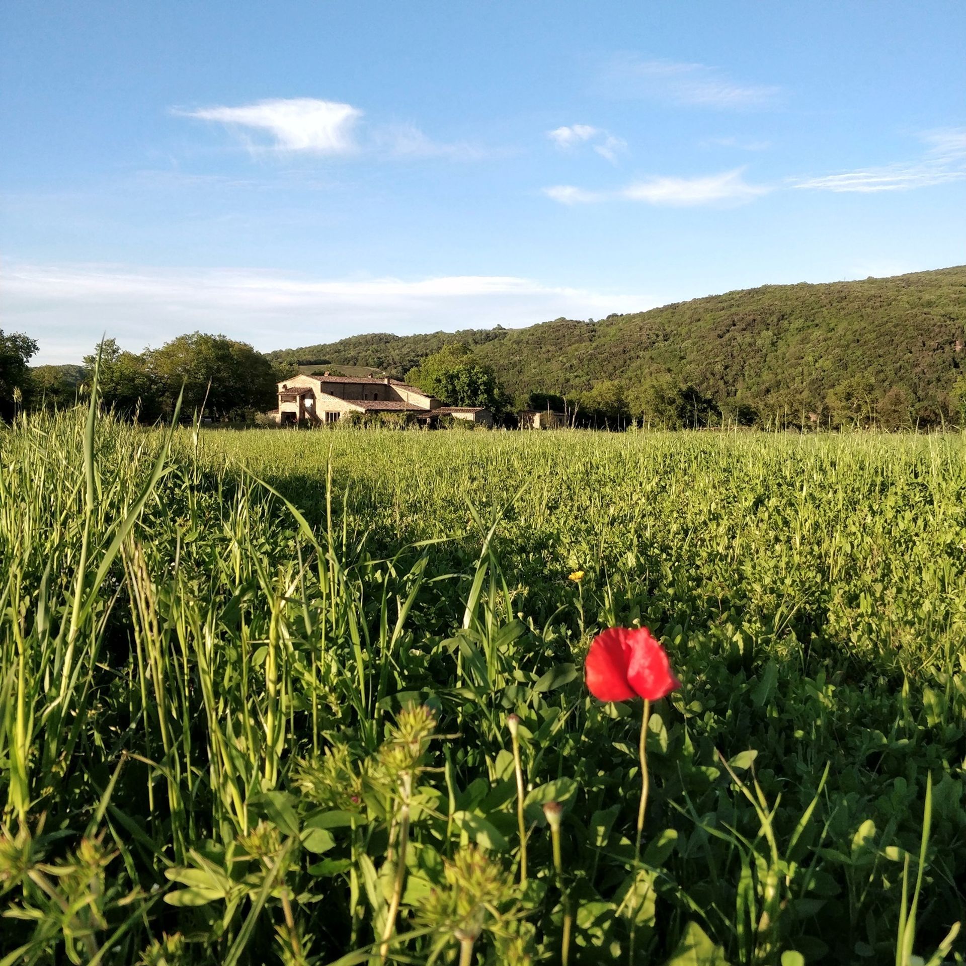 بيت في , Tuscany 11138280