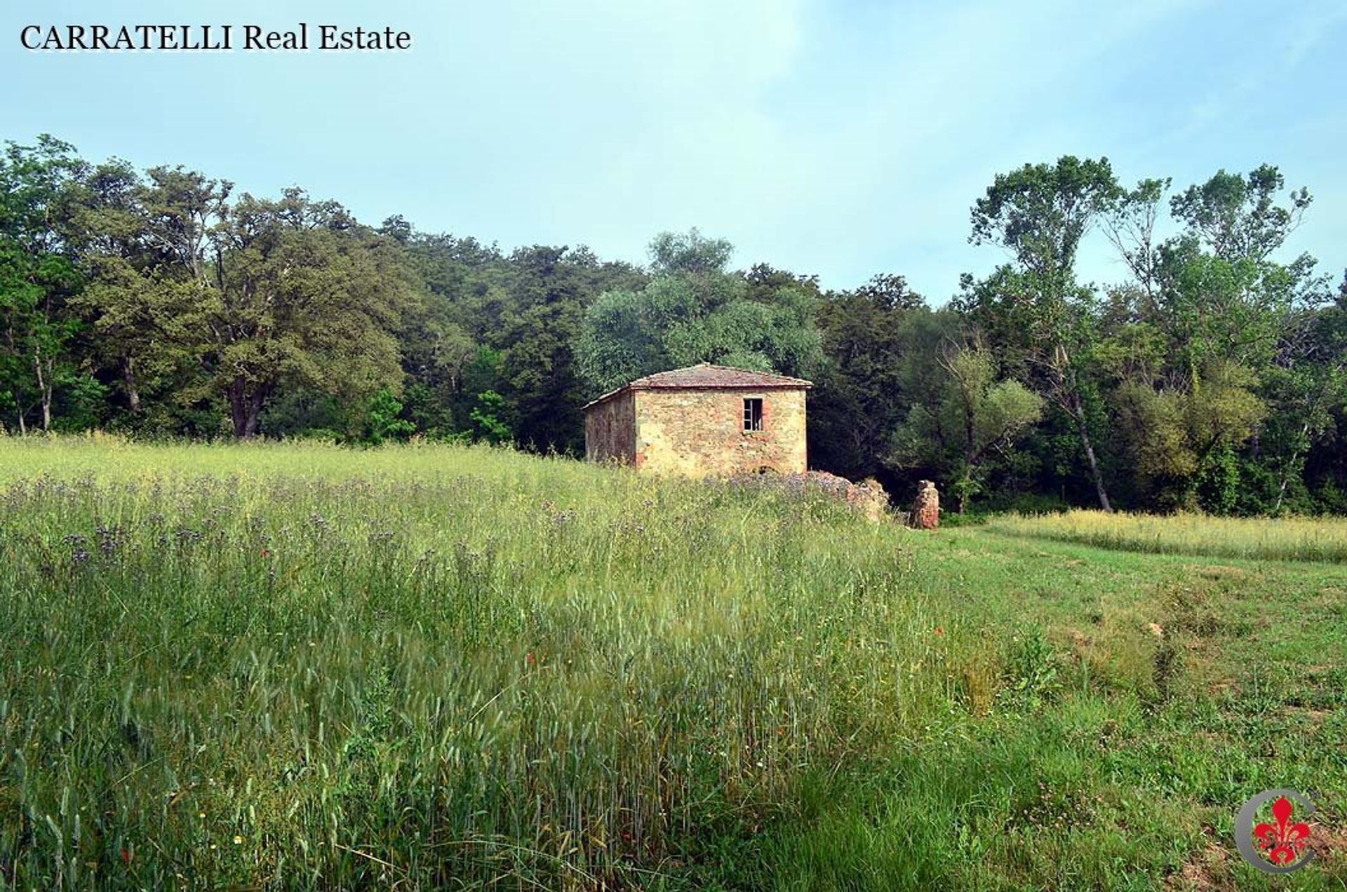 σπίτι σε Torrita di Siena, Tuscany 11138286