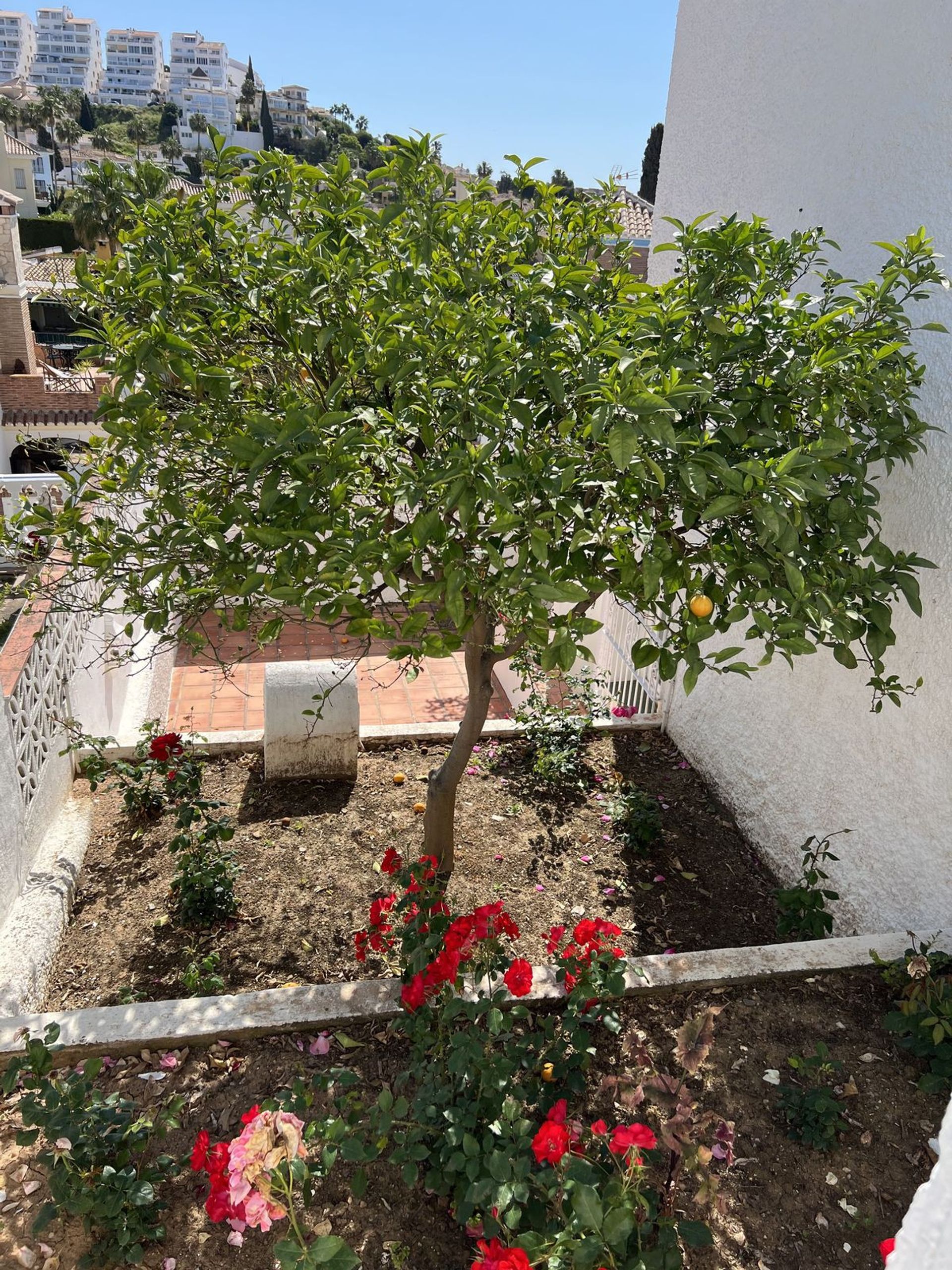 House in Urbanización Riviera Sol, Andalucía 11139200