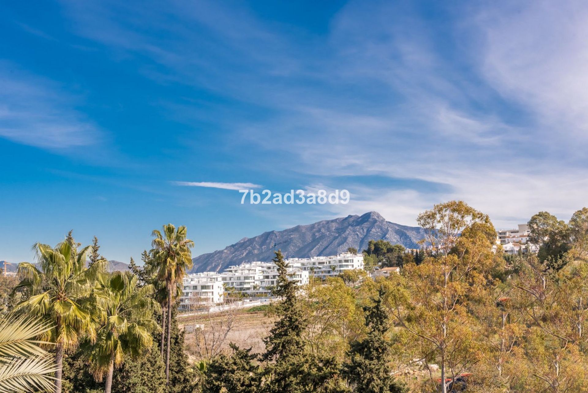 casa en Marbella, Andalucía 11139525