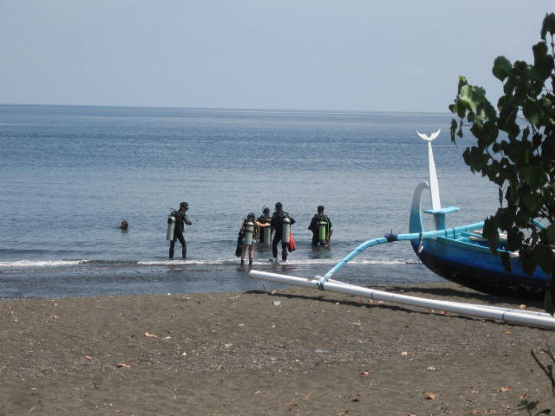 Maa sisään Bayan, Bali 11139558