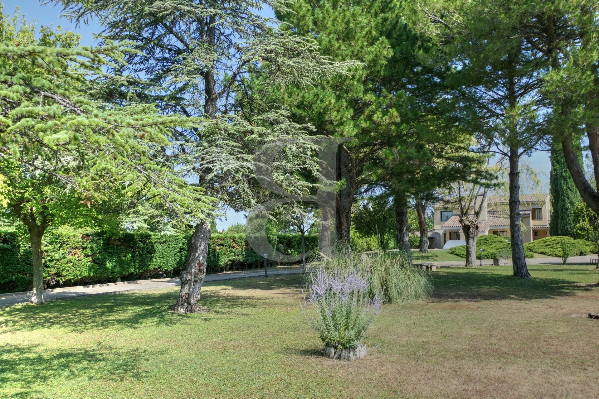 rumah dalam Sainte-Cecile-les-Vignes, Provence-Alpes-Côte d'Azur 11139927