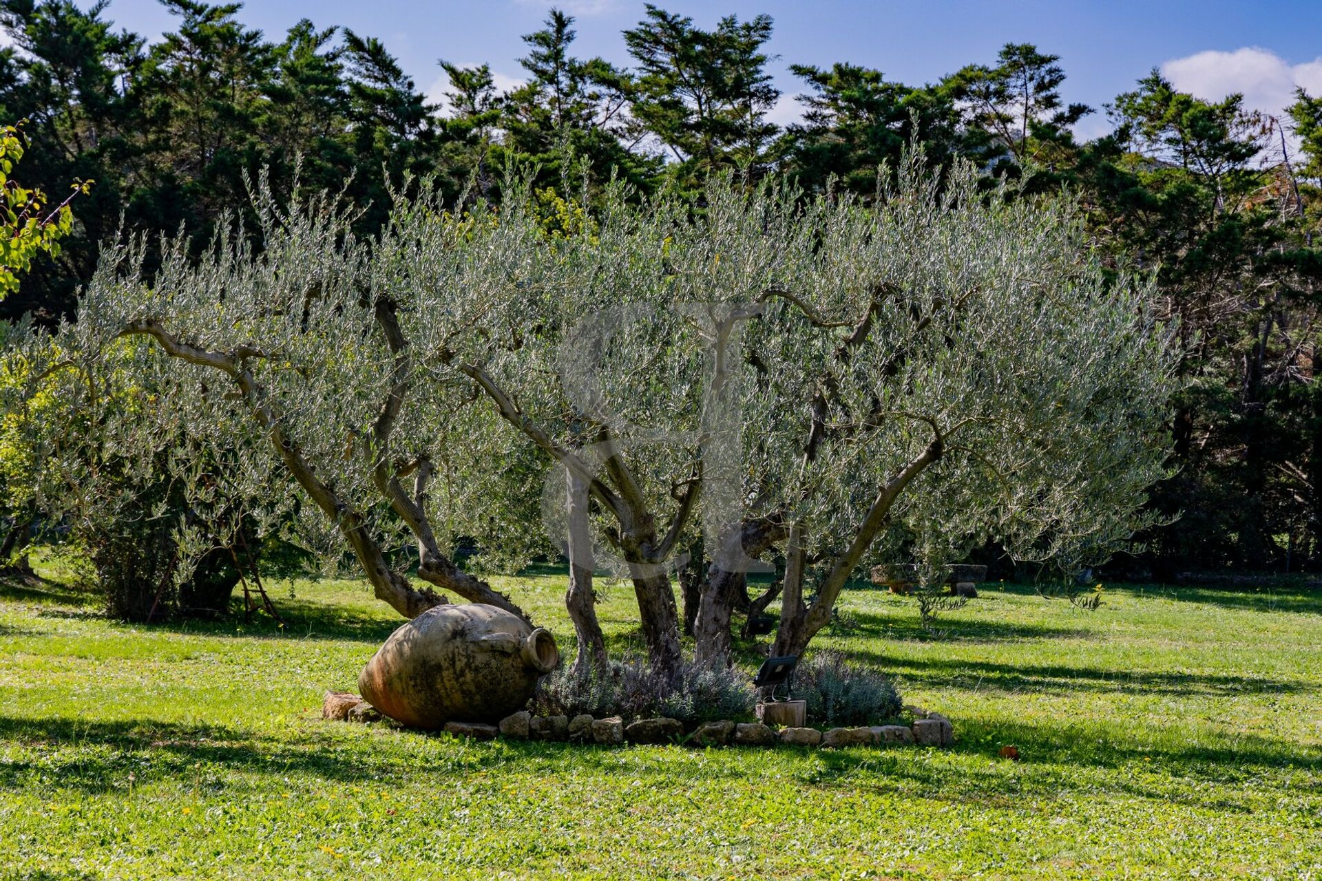 بيت في Saint-Rémy-de-Provence, Provence-Alpes-Côte d'Azur 11139983