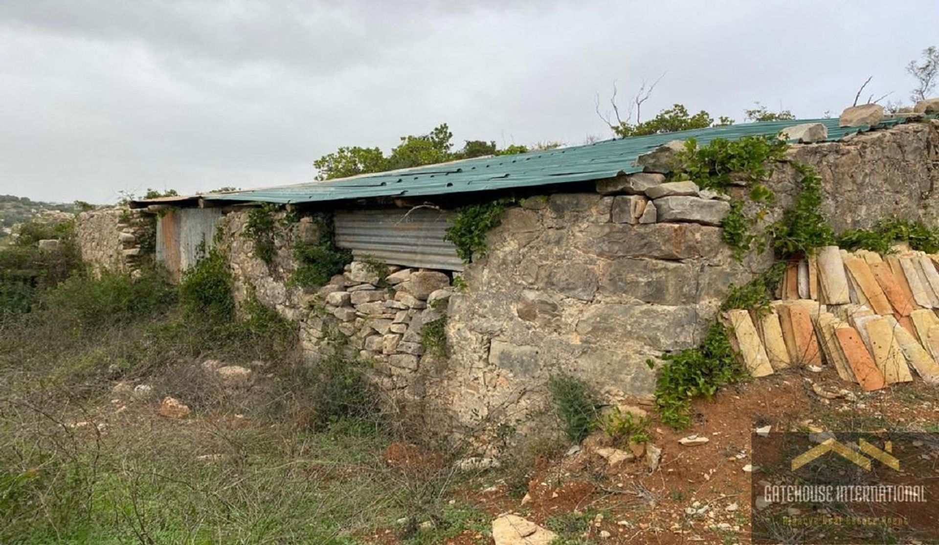 Tierra en Goldra, Faraón 11140417