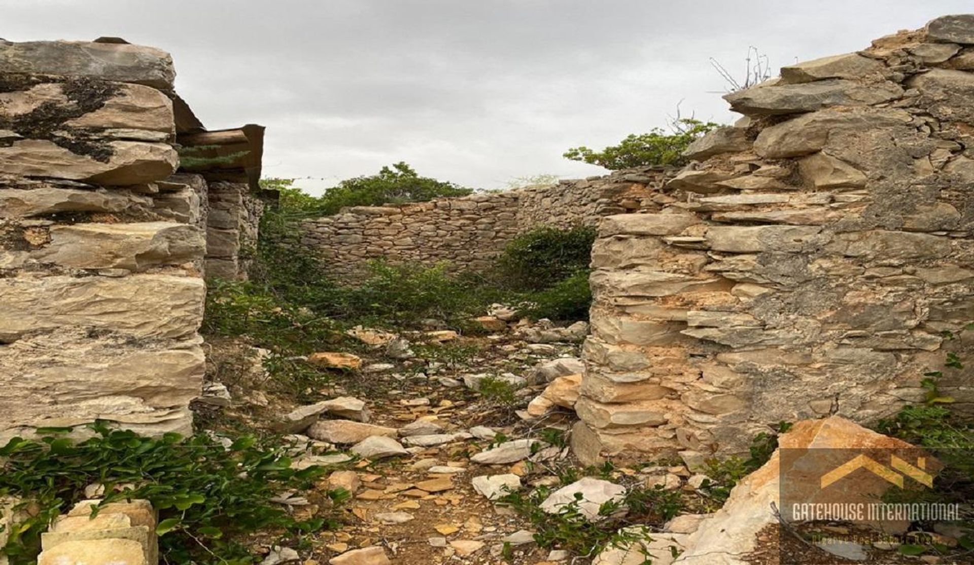 Tierra en Goldra, Faraón 11140417