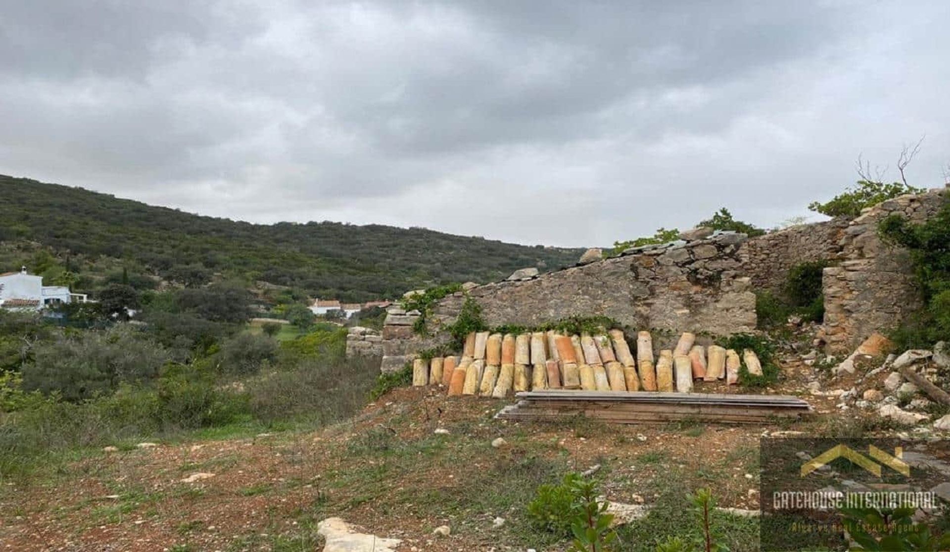 Tierra en Goldra, Faraón 11140417