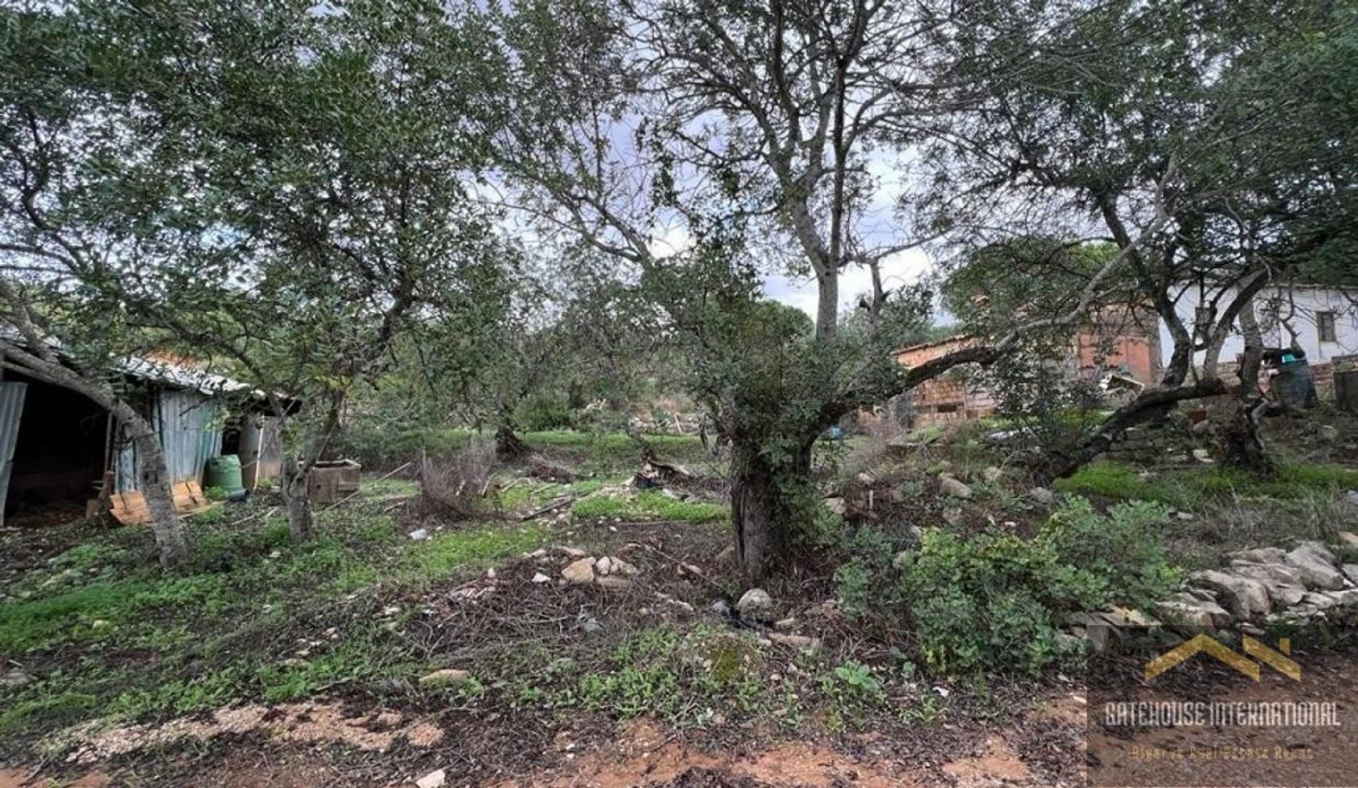 loger dans Santa Bárbara de Nexe, Faro 11140443