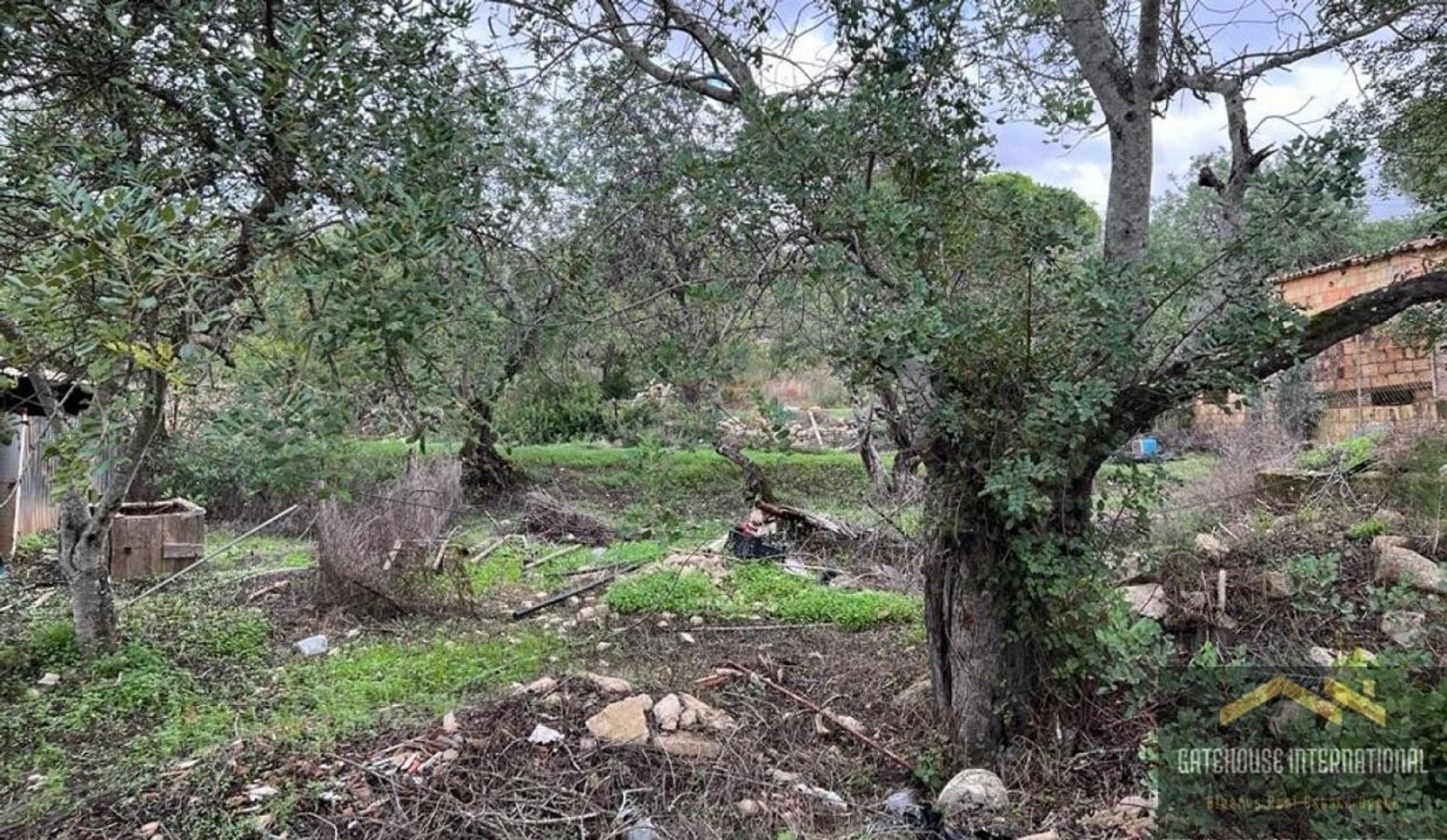 loger dans Santa Bárbara de Nexe, Faro 11140443