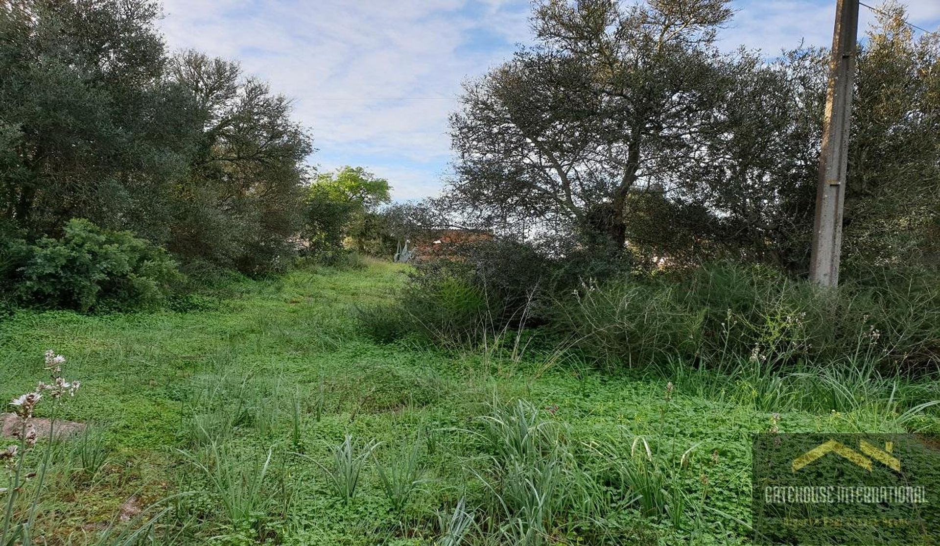 Land im São Bartolomeu de Messines, Faro 11140471