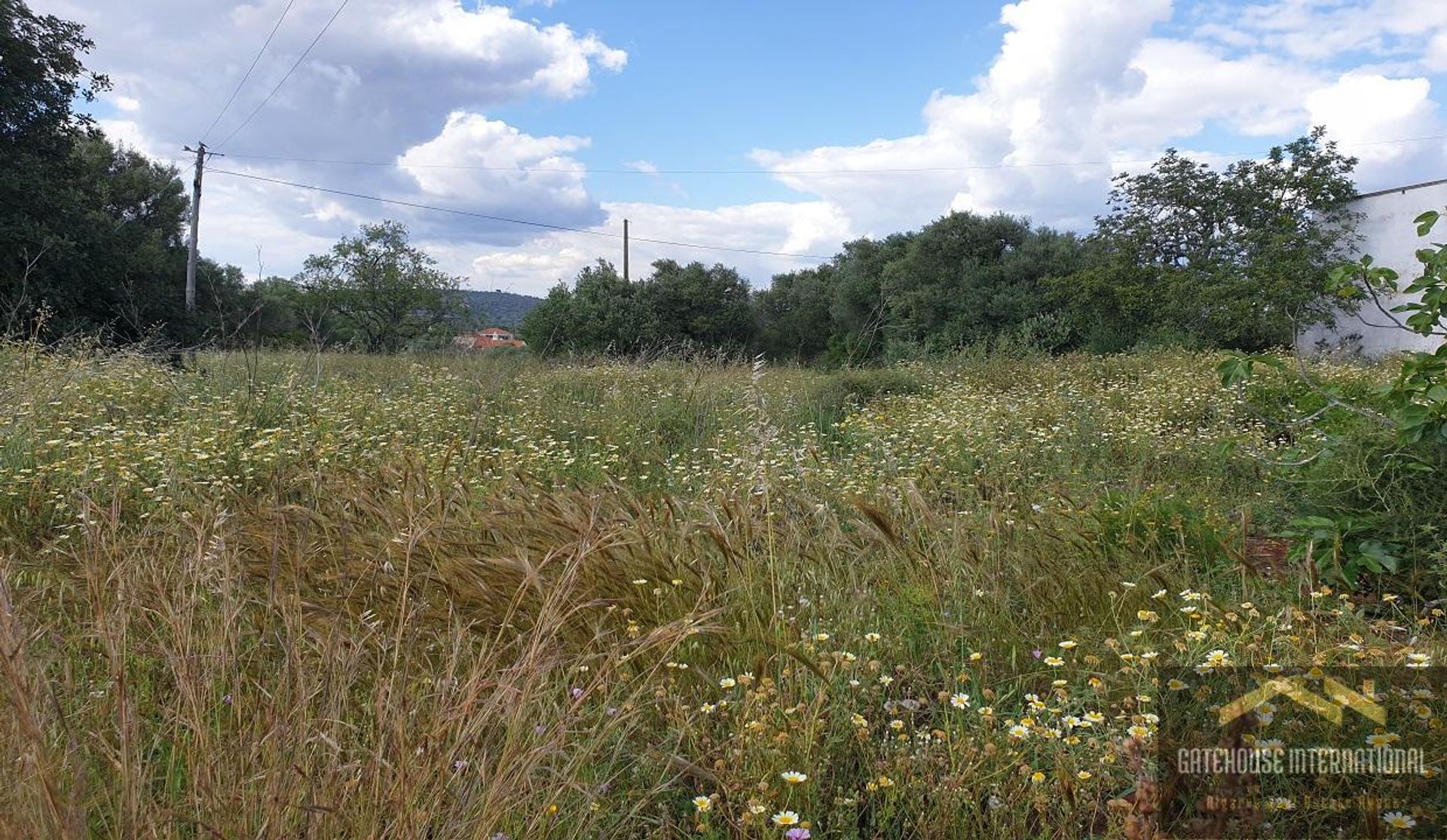 Land in Cerro das Taipas, Faro 11140471