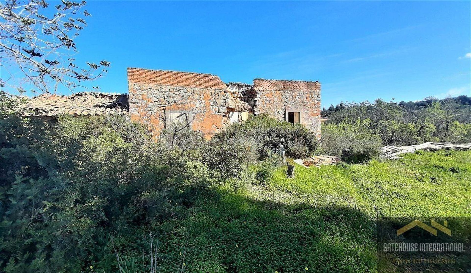 Sbarcare nel Loulé, Faro 11140517