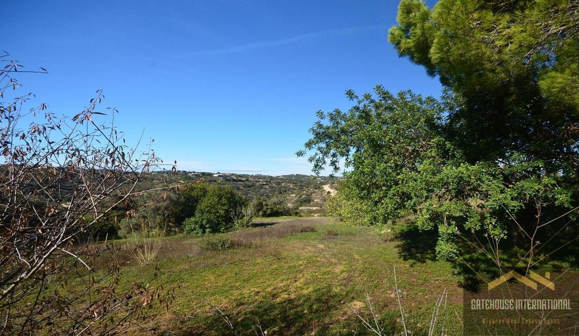 Land in Loulé, Faro 11140555