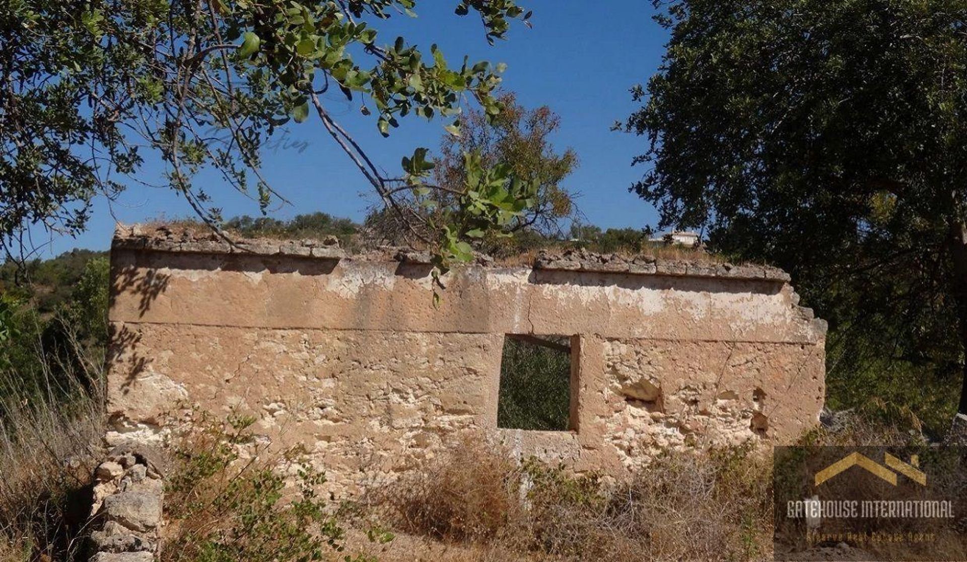 Γη σε Μόντε ντε Ζοάο Πρέτο, Φαραώ 11140616