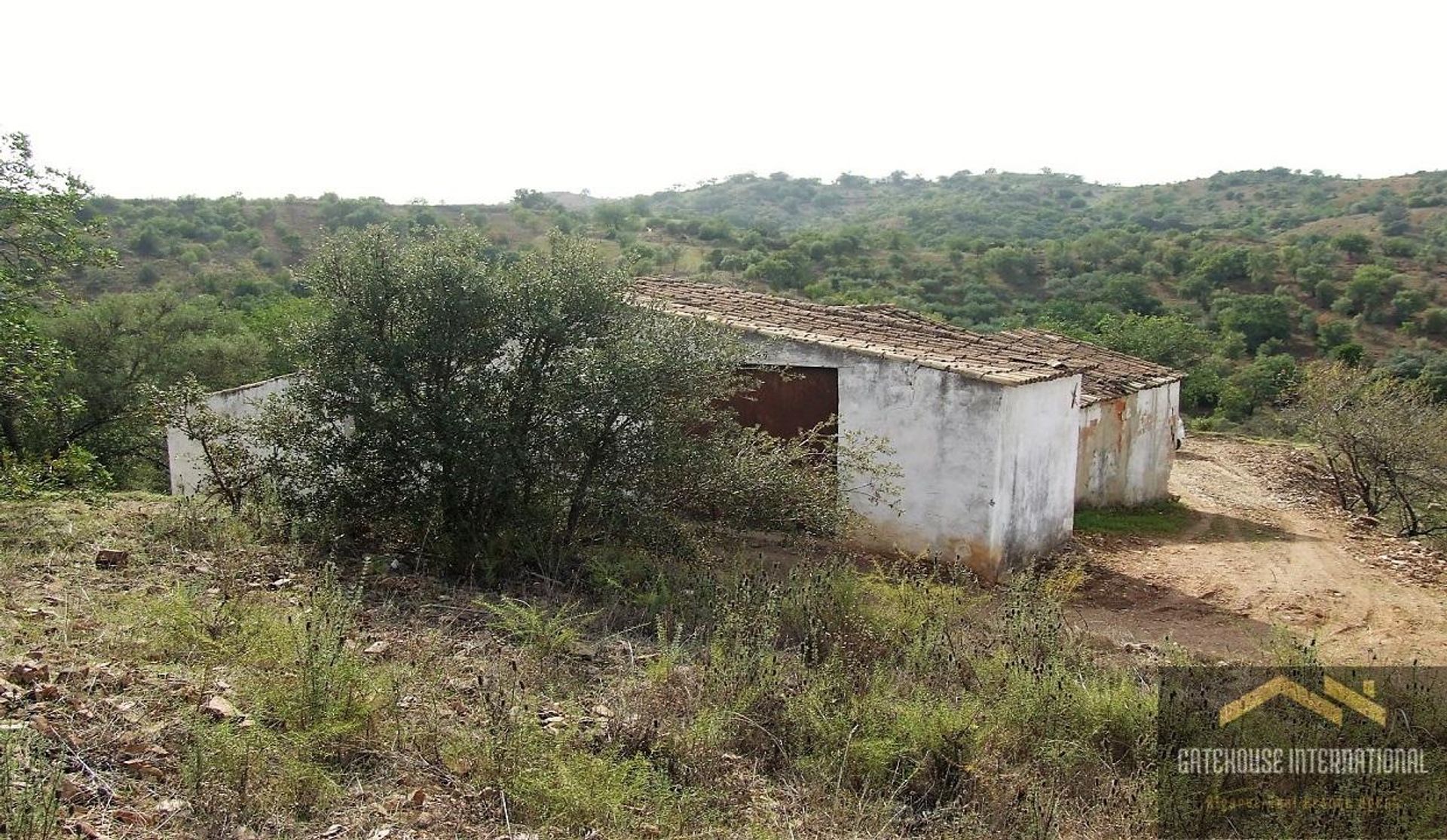 Земельные участки в Santa Catarina da Fonte do Bispo, Faro 11140626